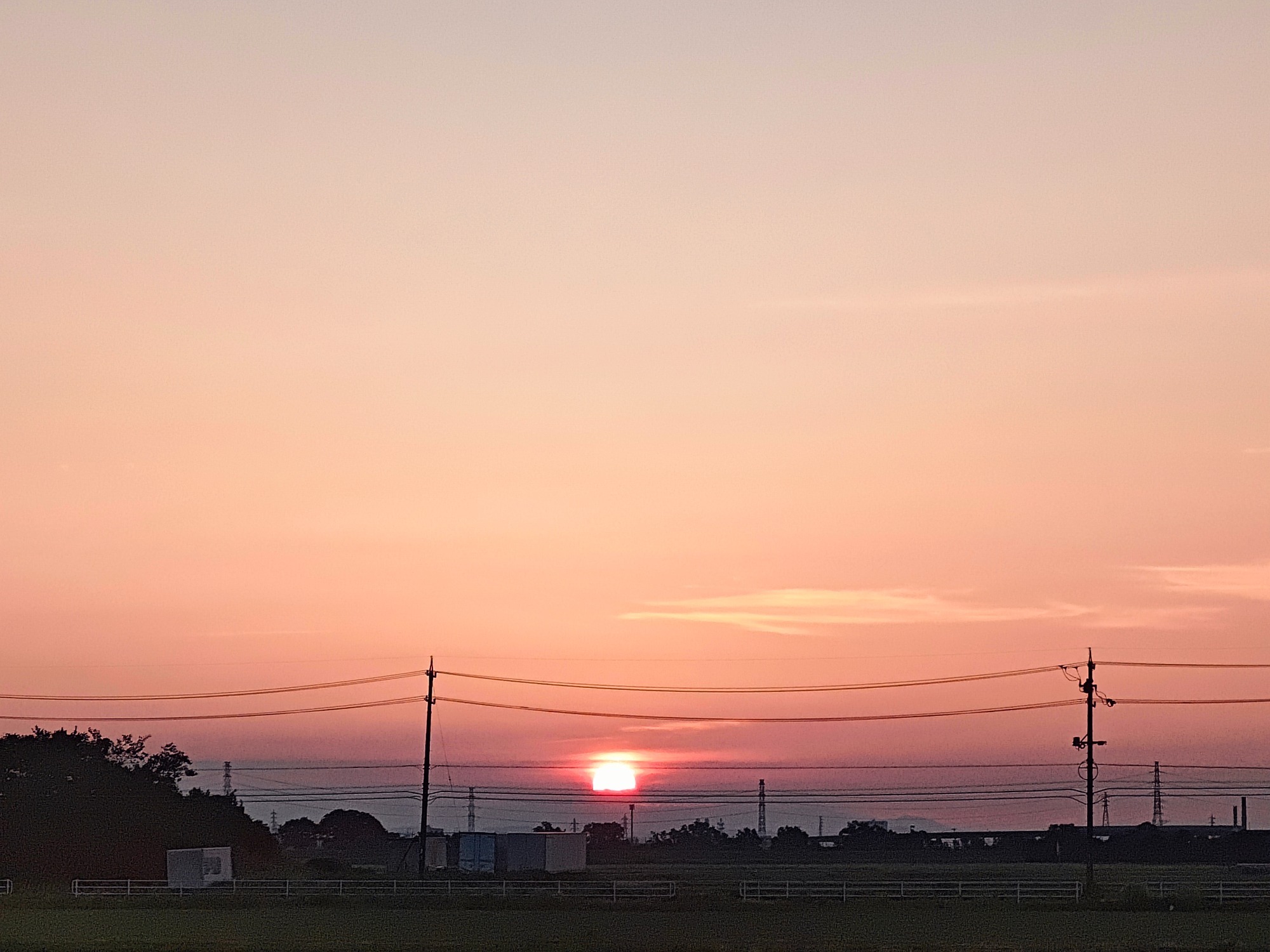 朝になりました！の画像