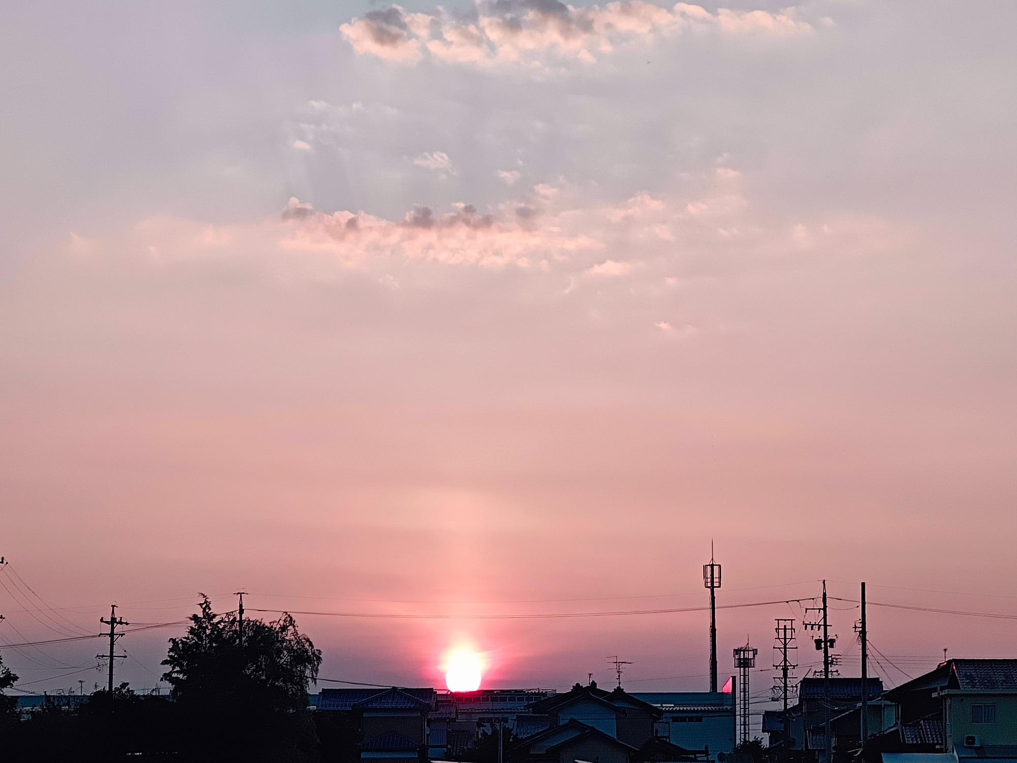 朝になりました！の画像