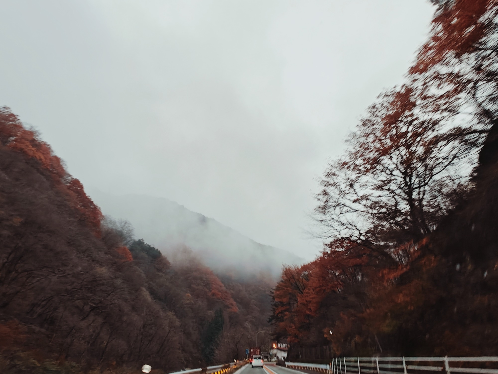 朝になりました！の画像