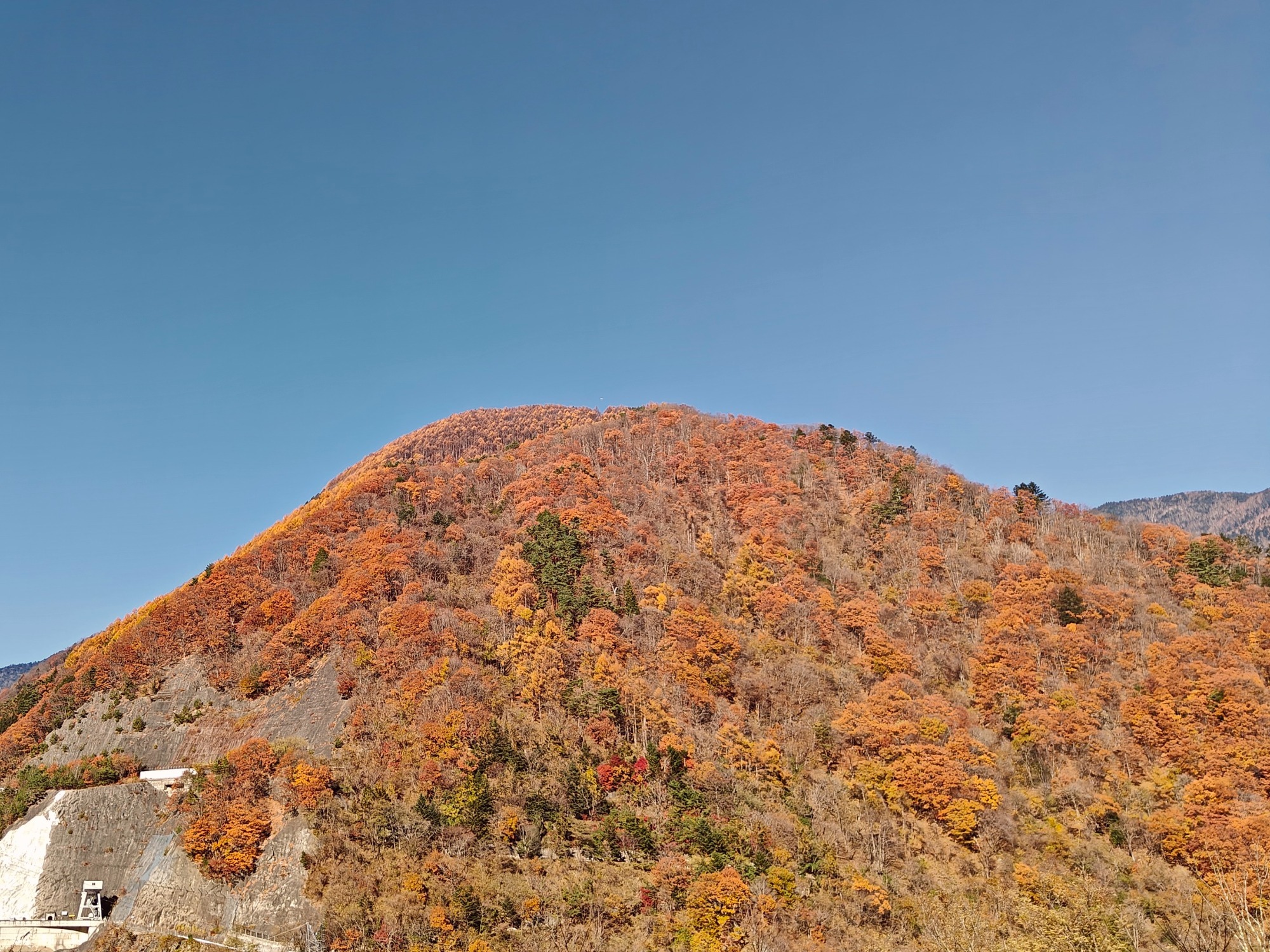 まさに！の画像