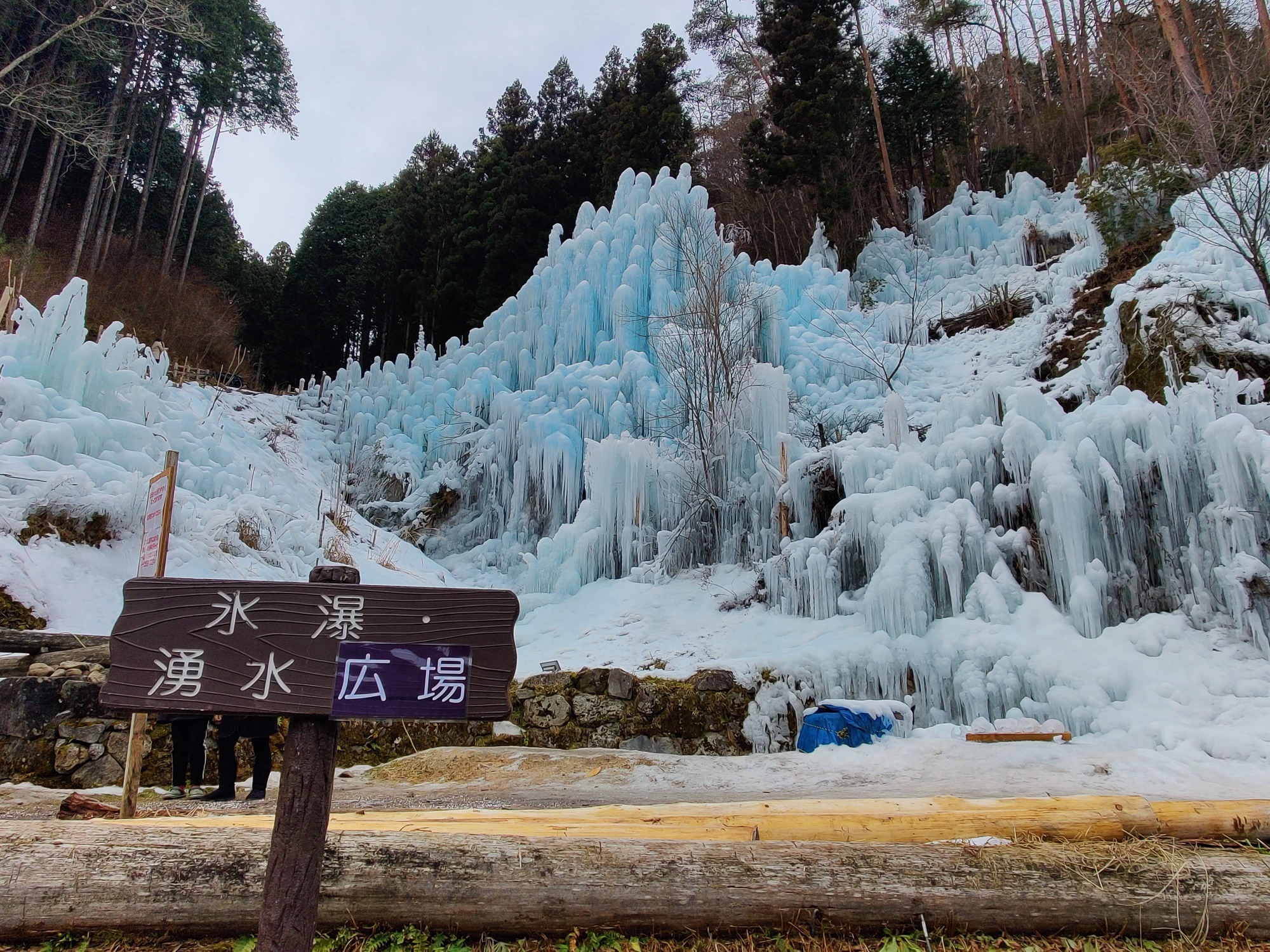 朝になりました！の画像