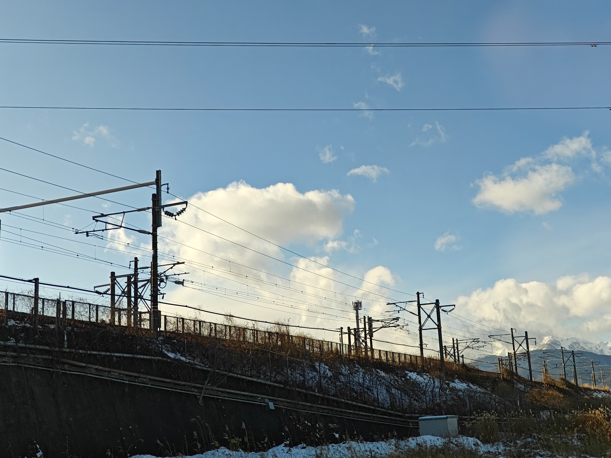 いい天気になりましたが！の画像