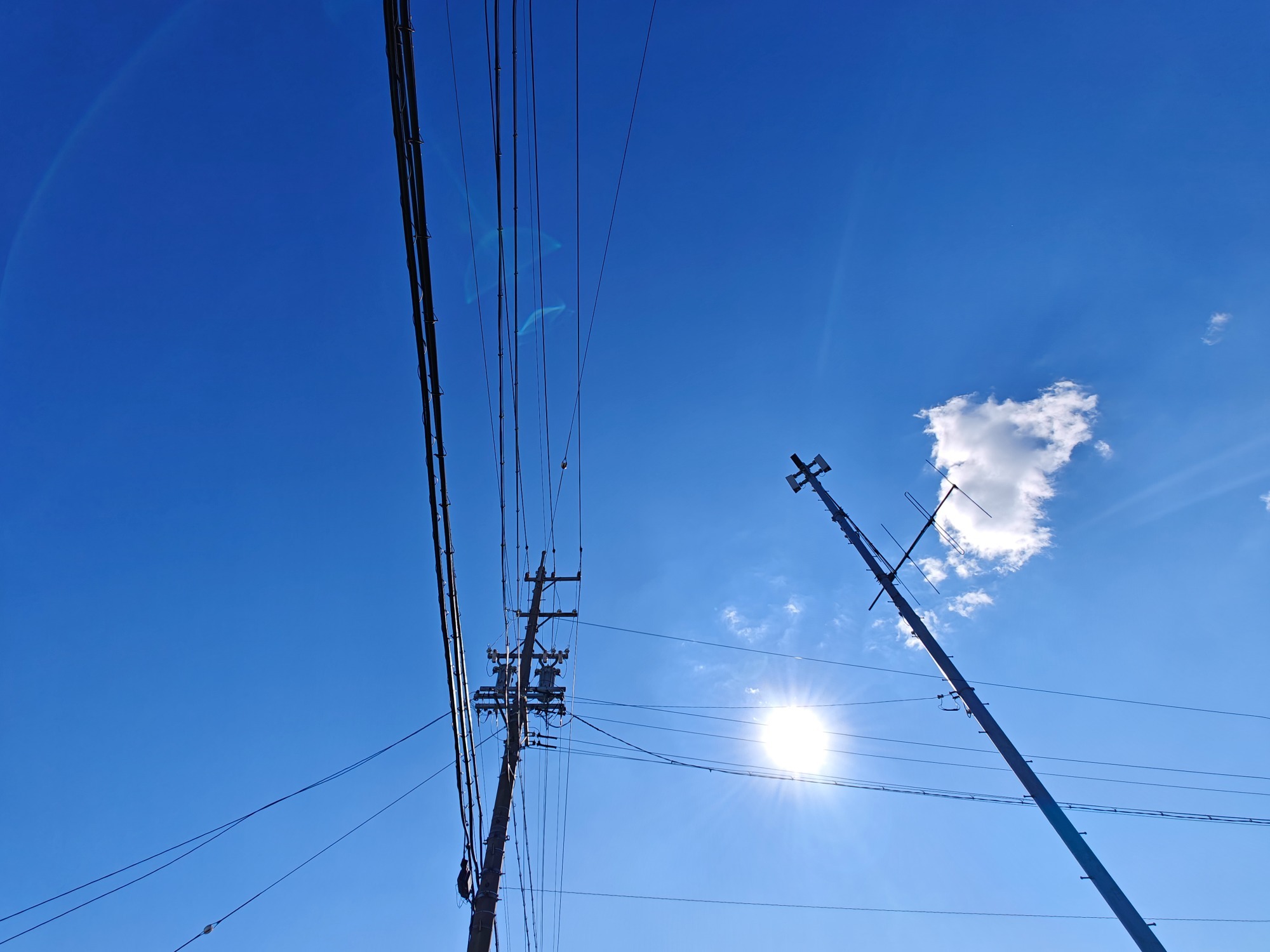 今日もいい天気の画像