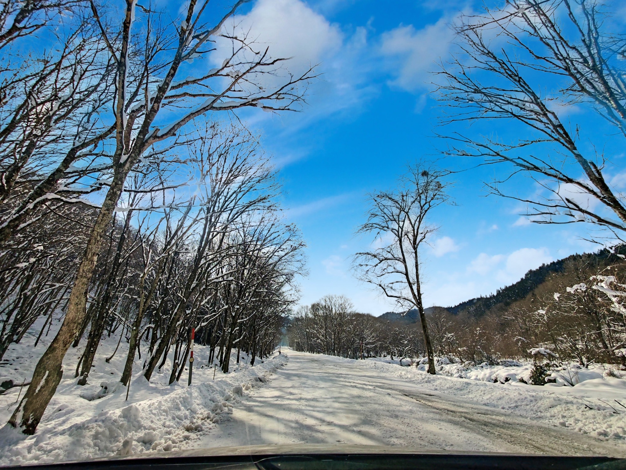 朝になりました！の画像