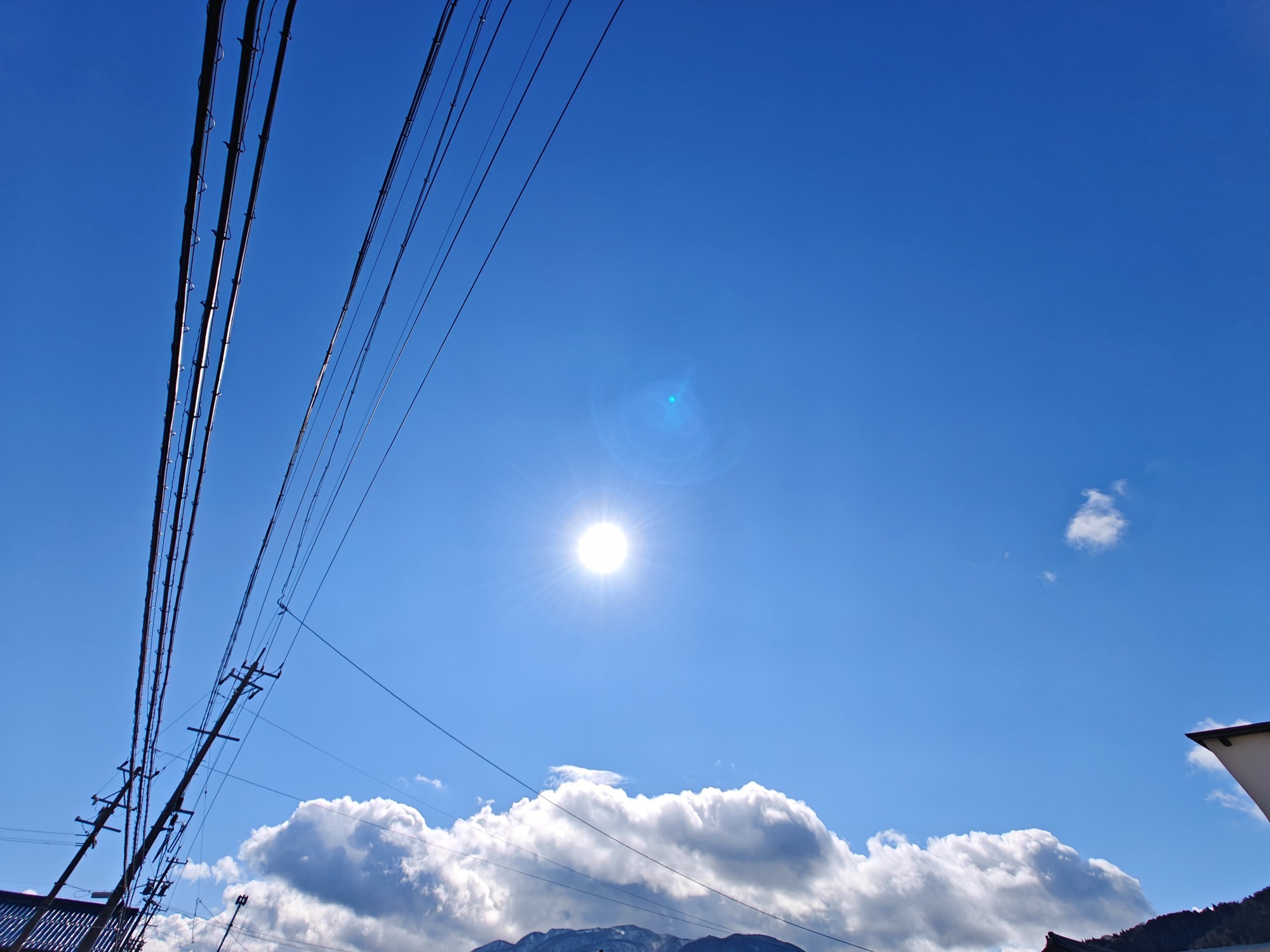 1週間ぶりの晴天。の画像