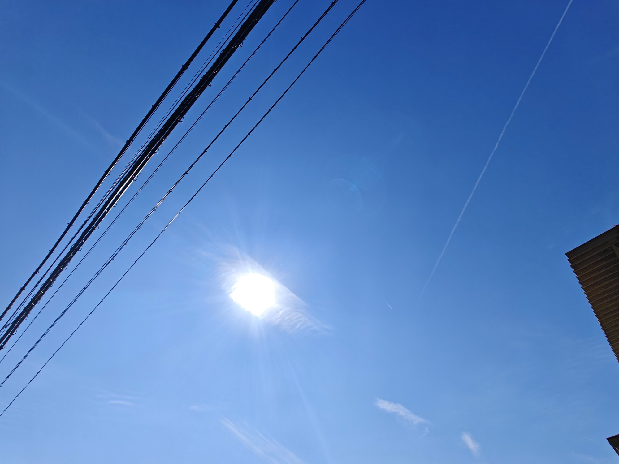 ひこうき雲も見えますね！の画像