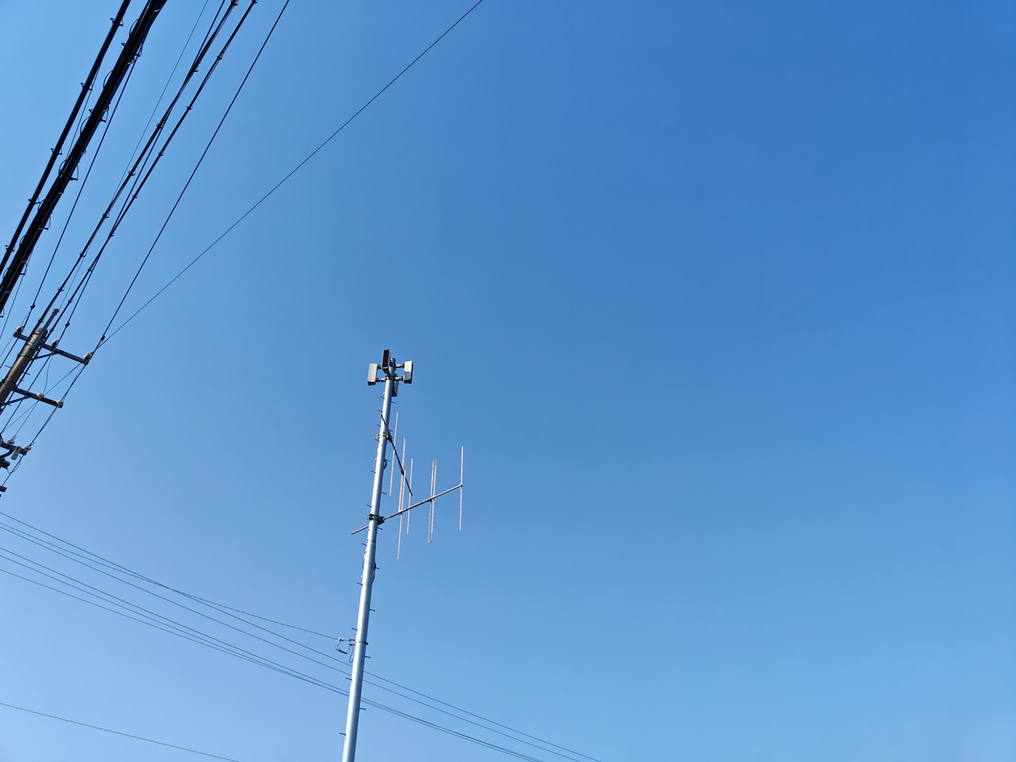 今日は風が強めの画像