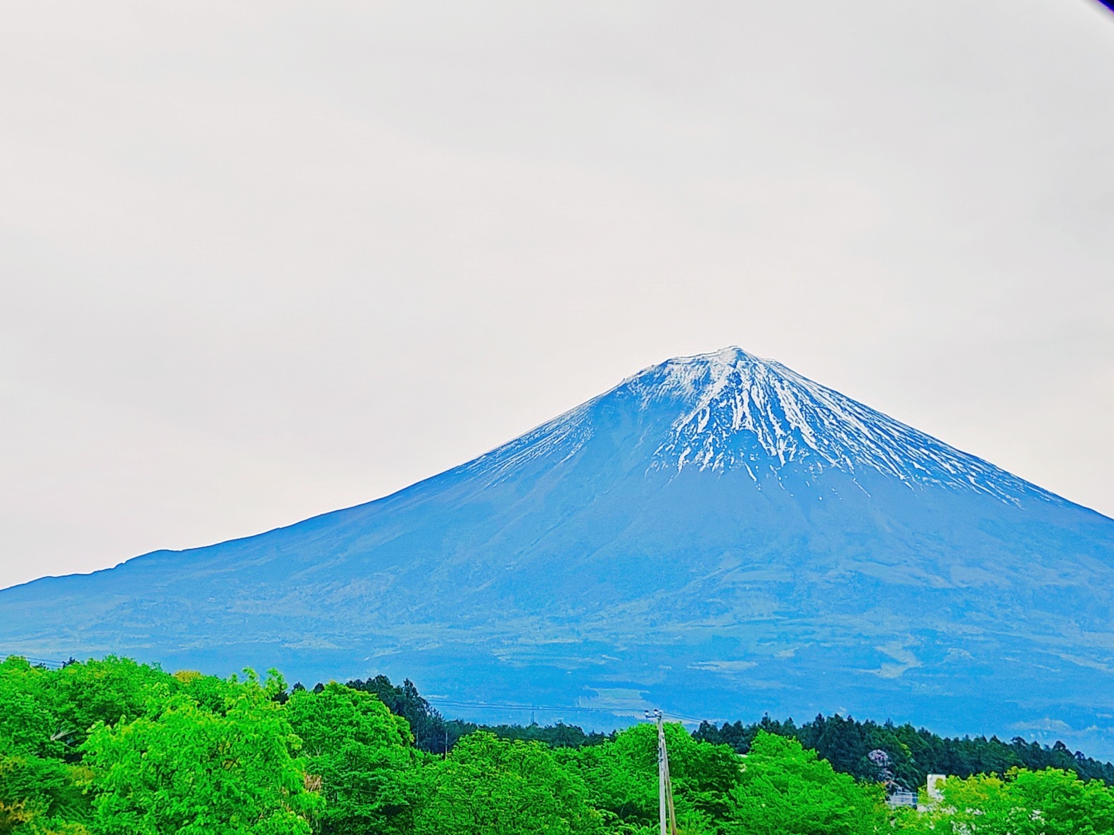 静岡県側からは見られました！の画像