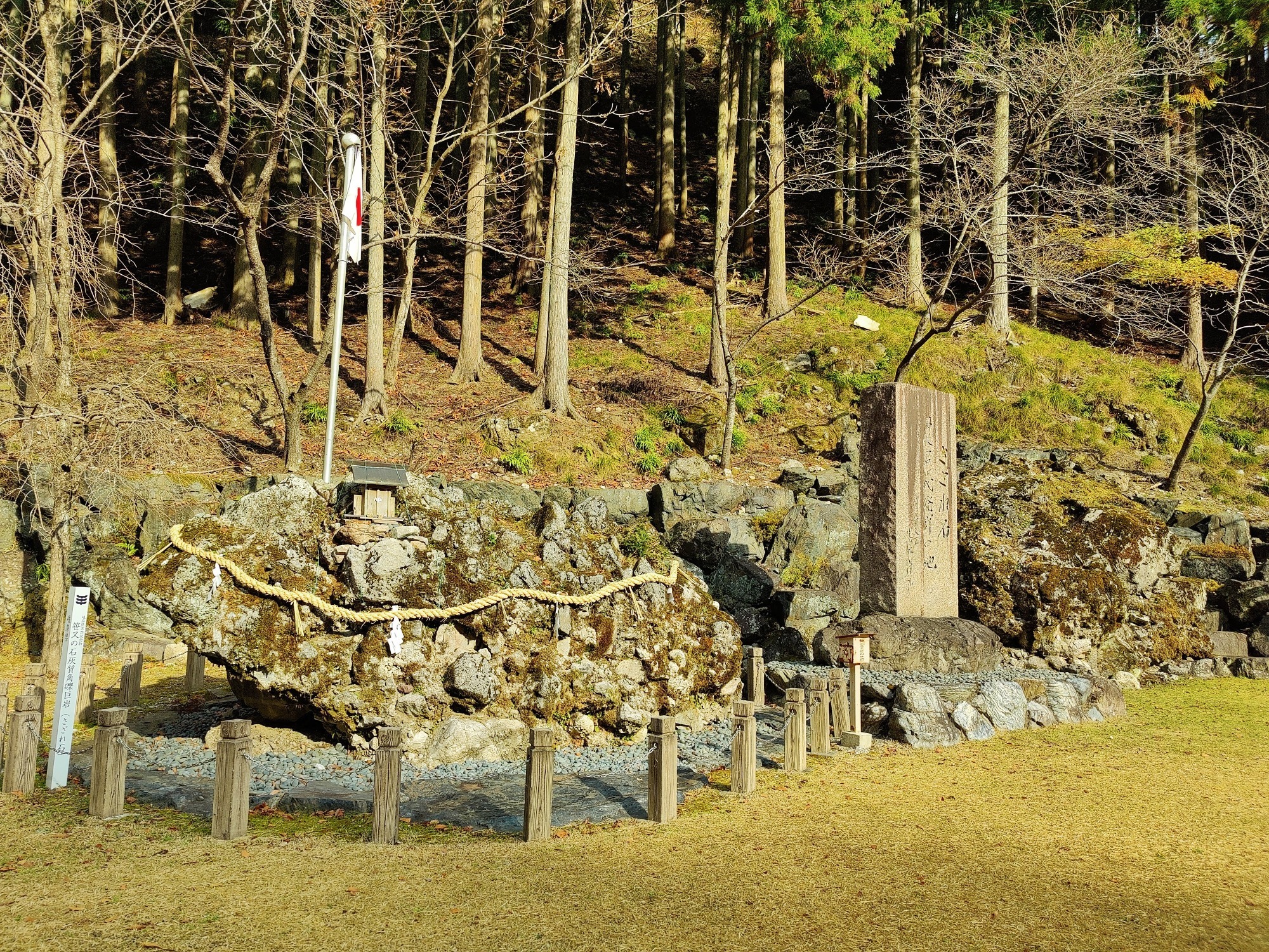 朝になりました！の画像