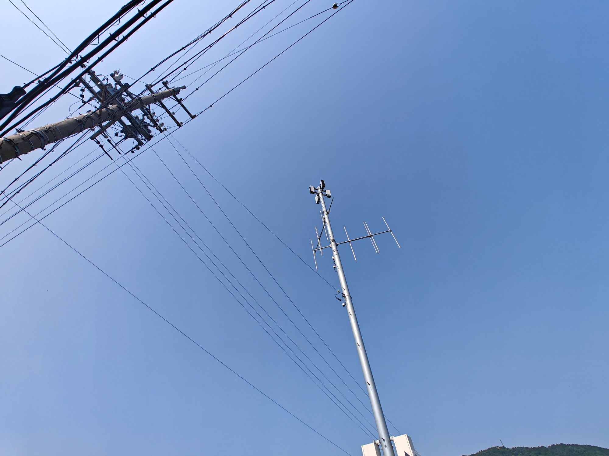 今日もかなり暑くなるみたいの画像