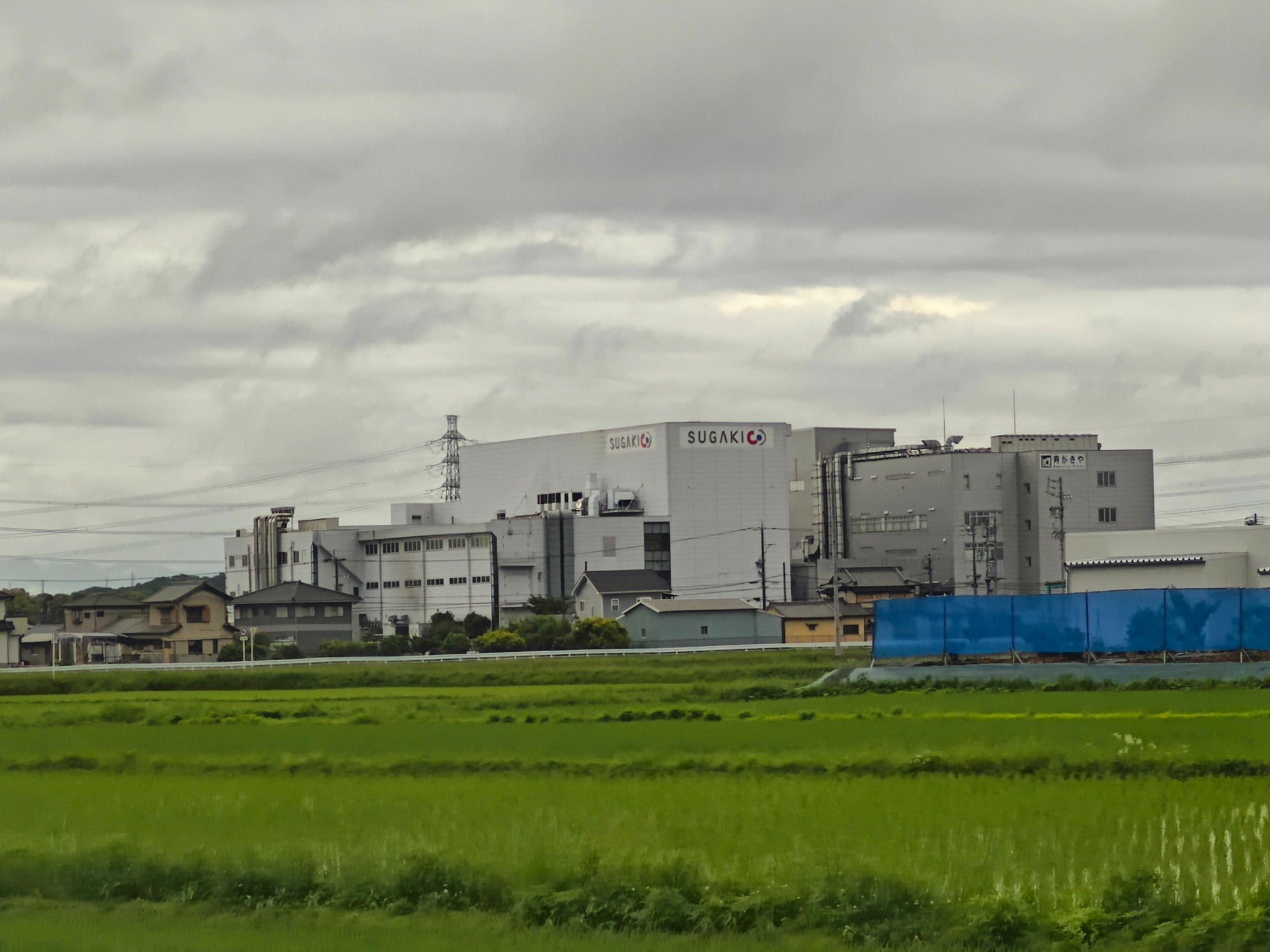名古屋と言えば！の画像