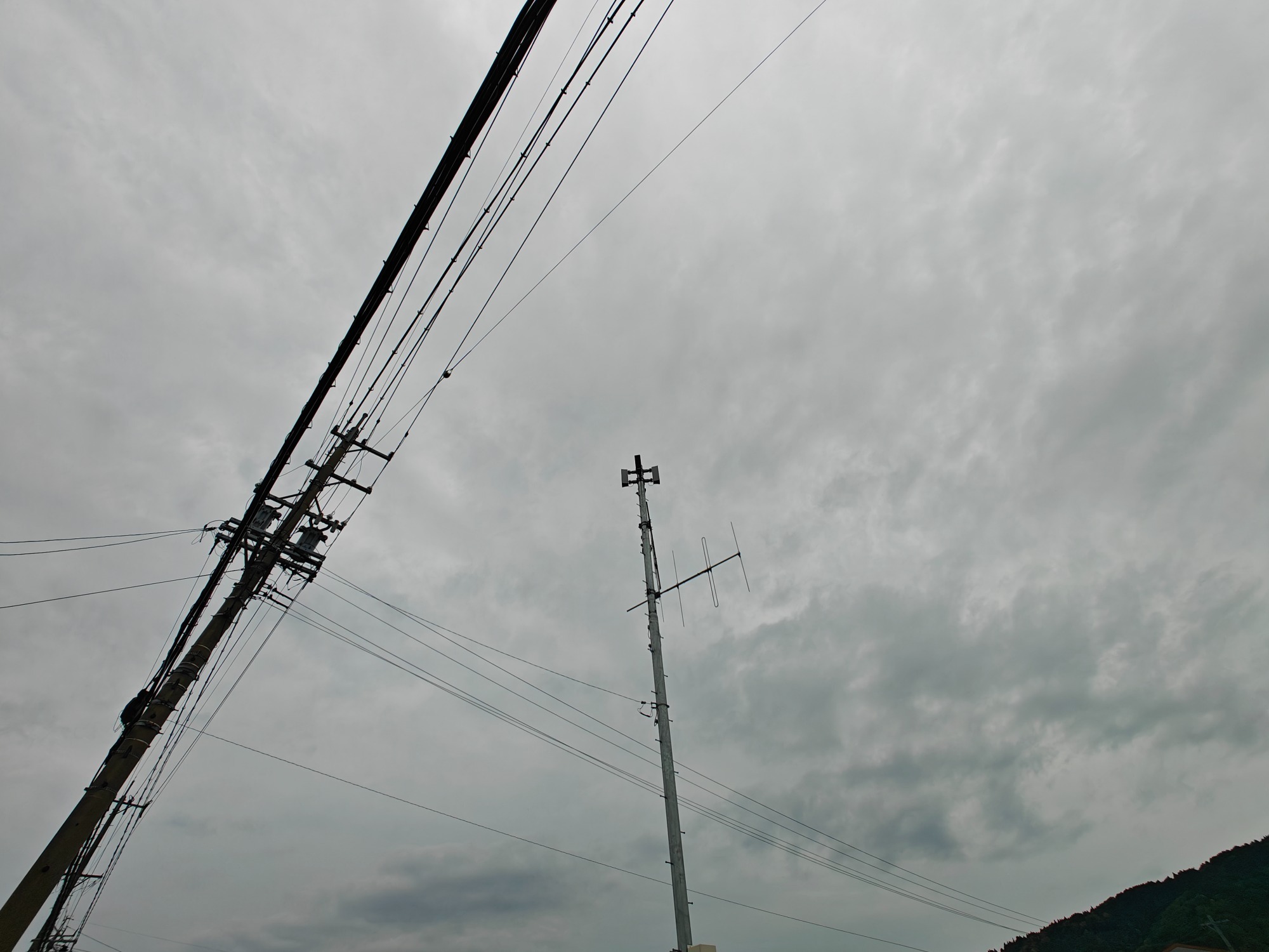今夜は大雨だそうです！の画像
