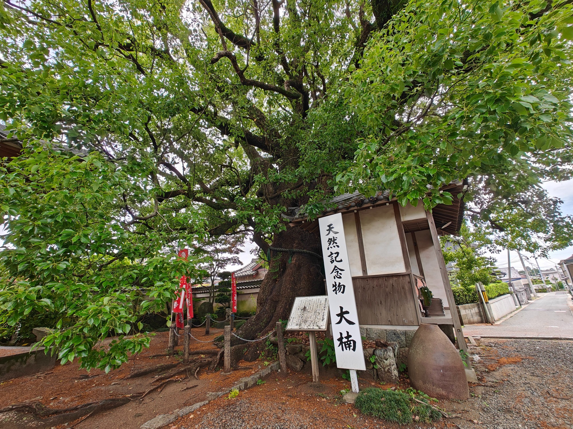 朝になりました！の画像