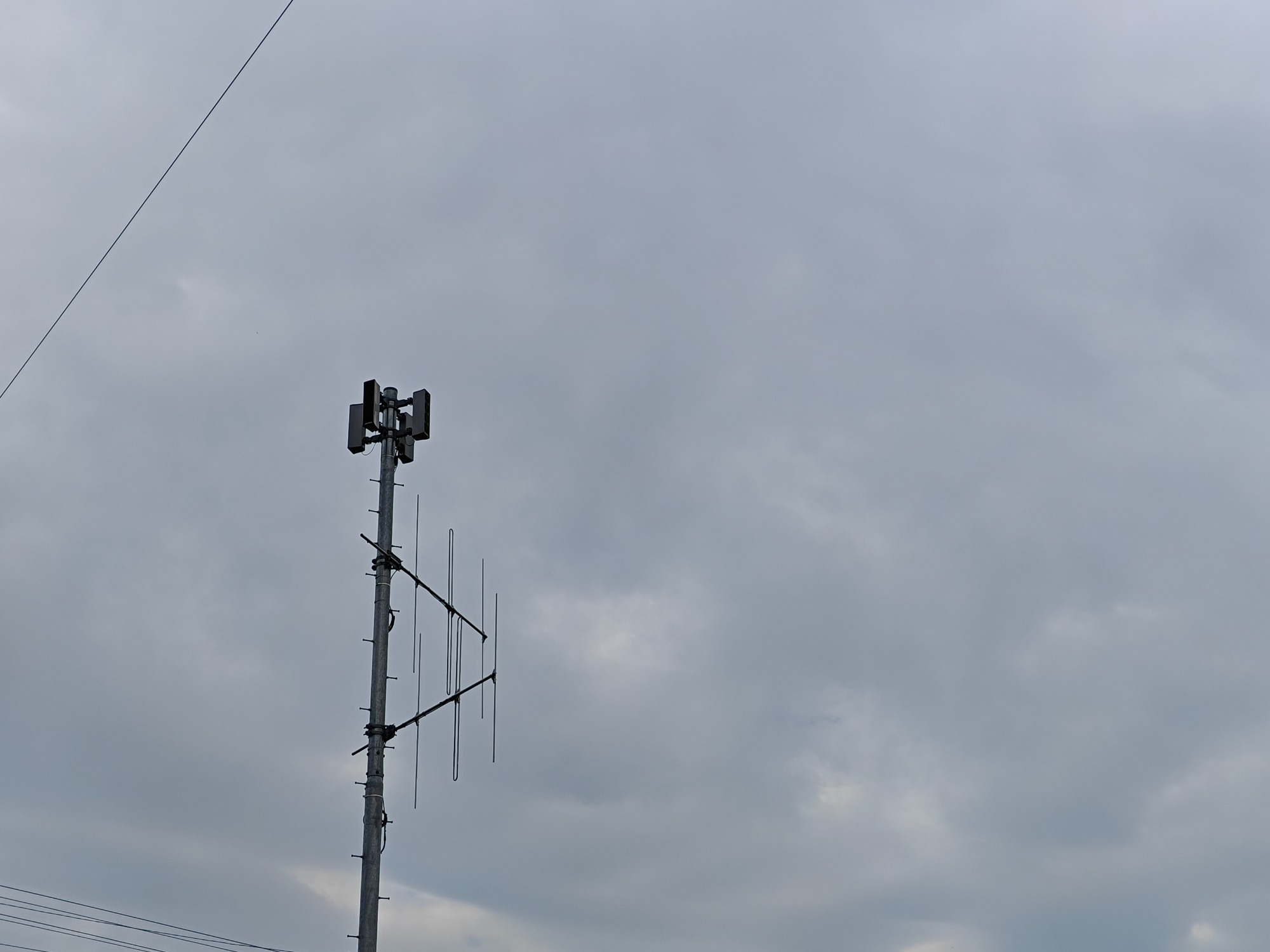 雨の予報になったから！の画像