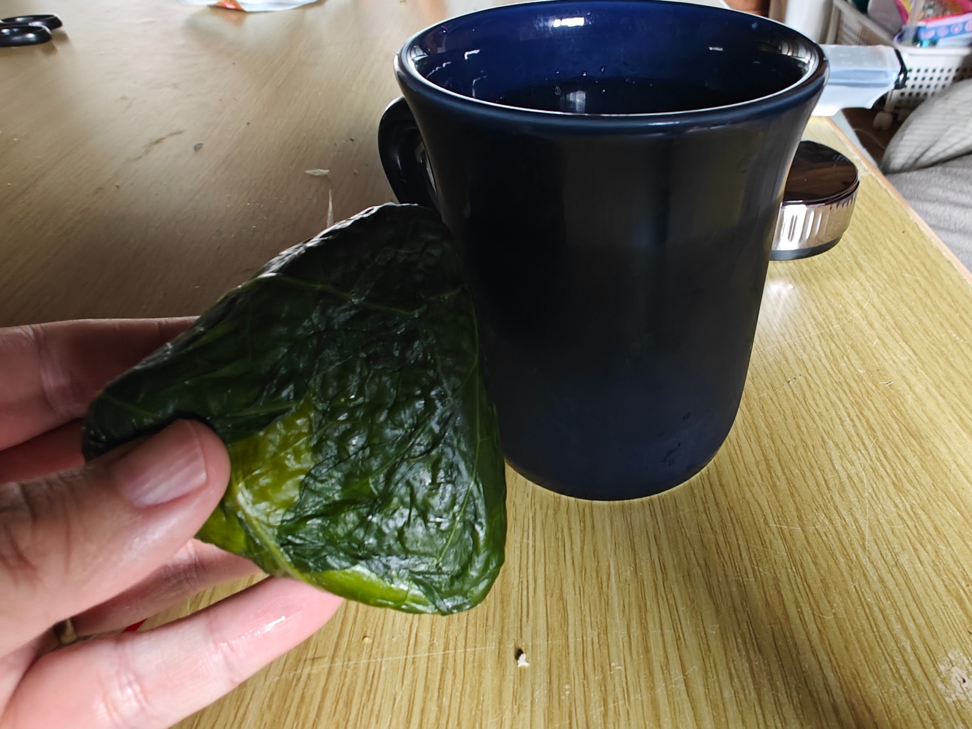 ハンバーガーだげではね！の画像
