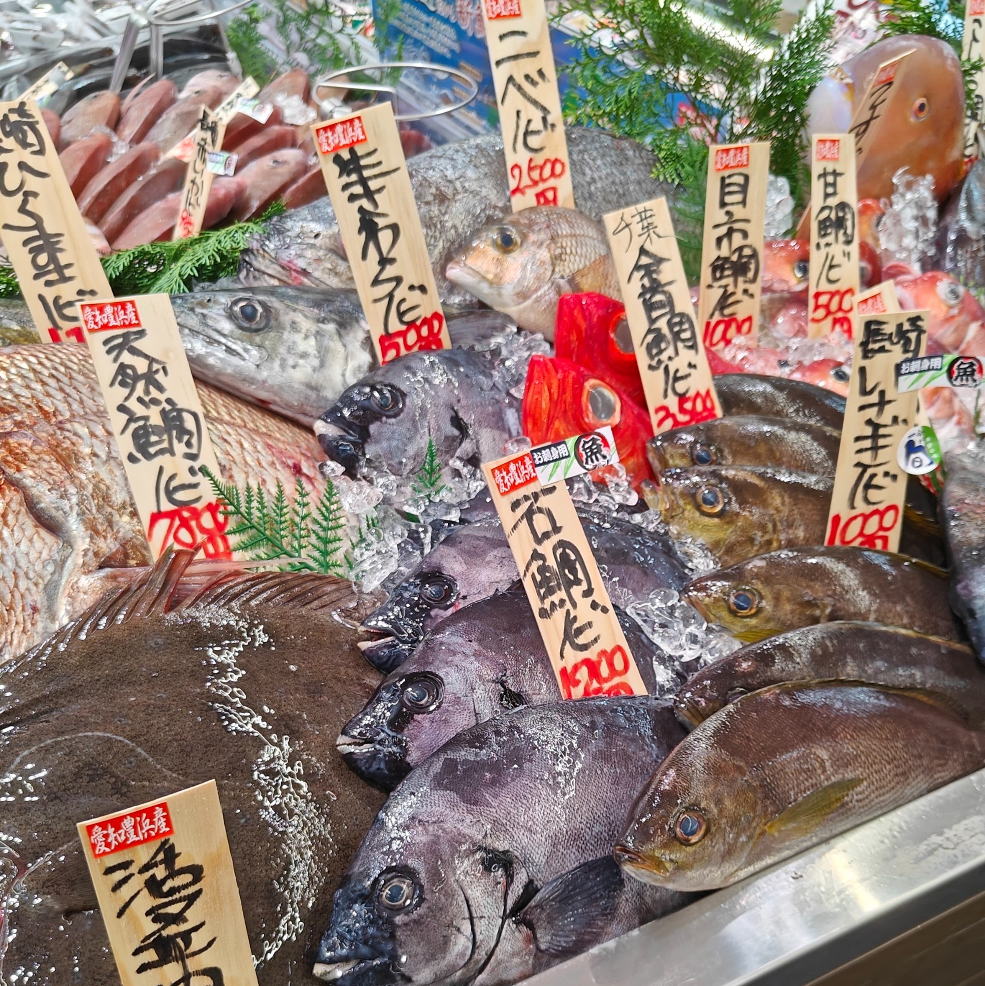 朝になりました！の画像