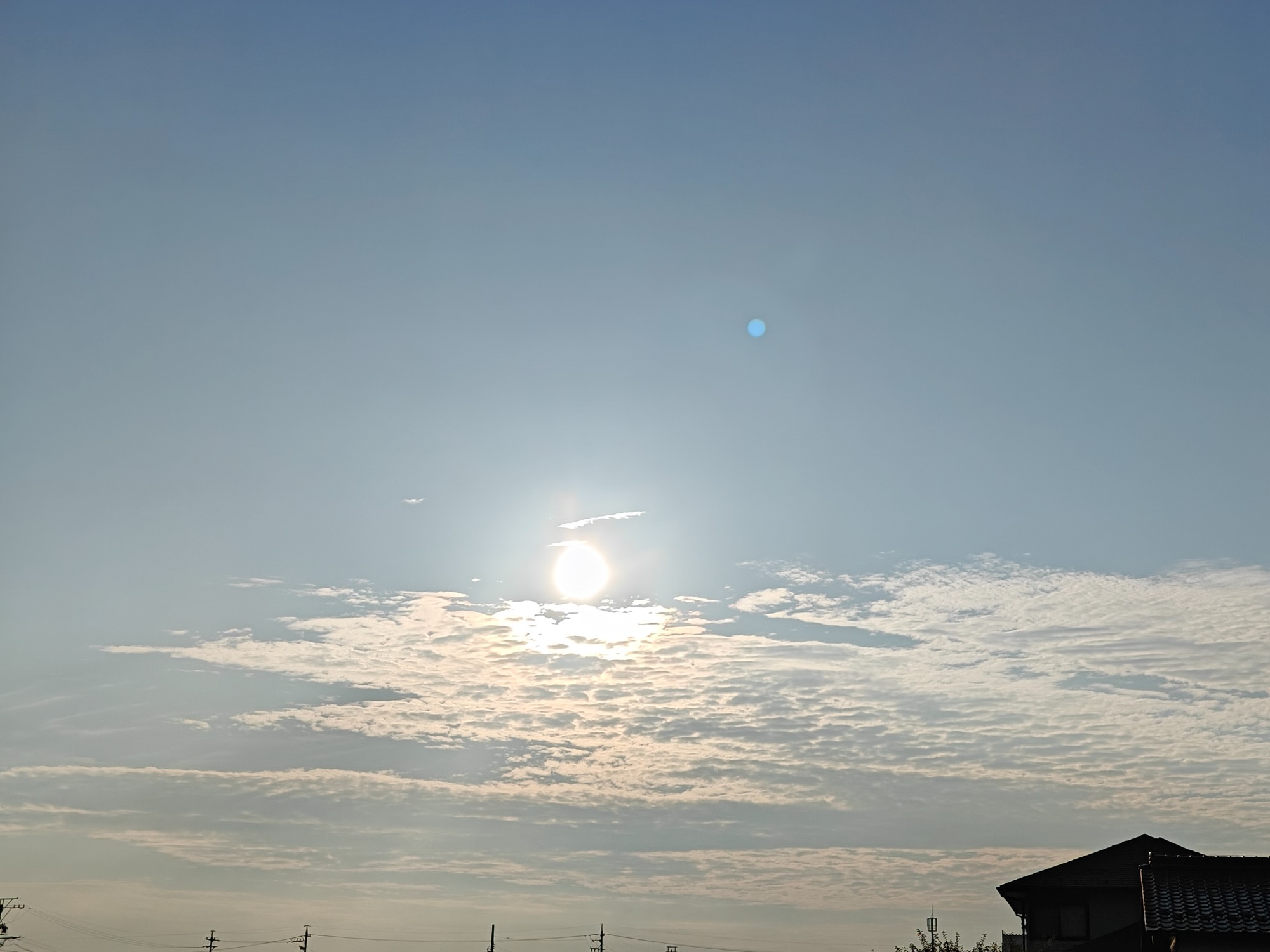 朝になりました！の画像
