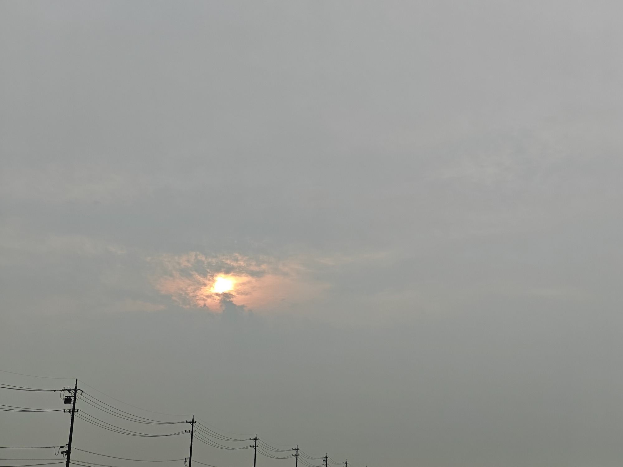 朝になりました！の画像