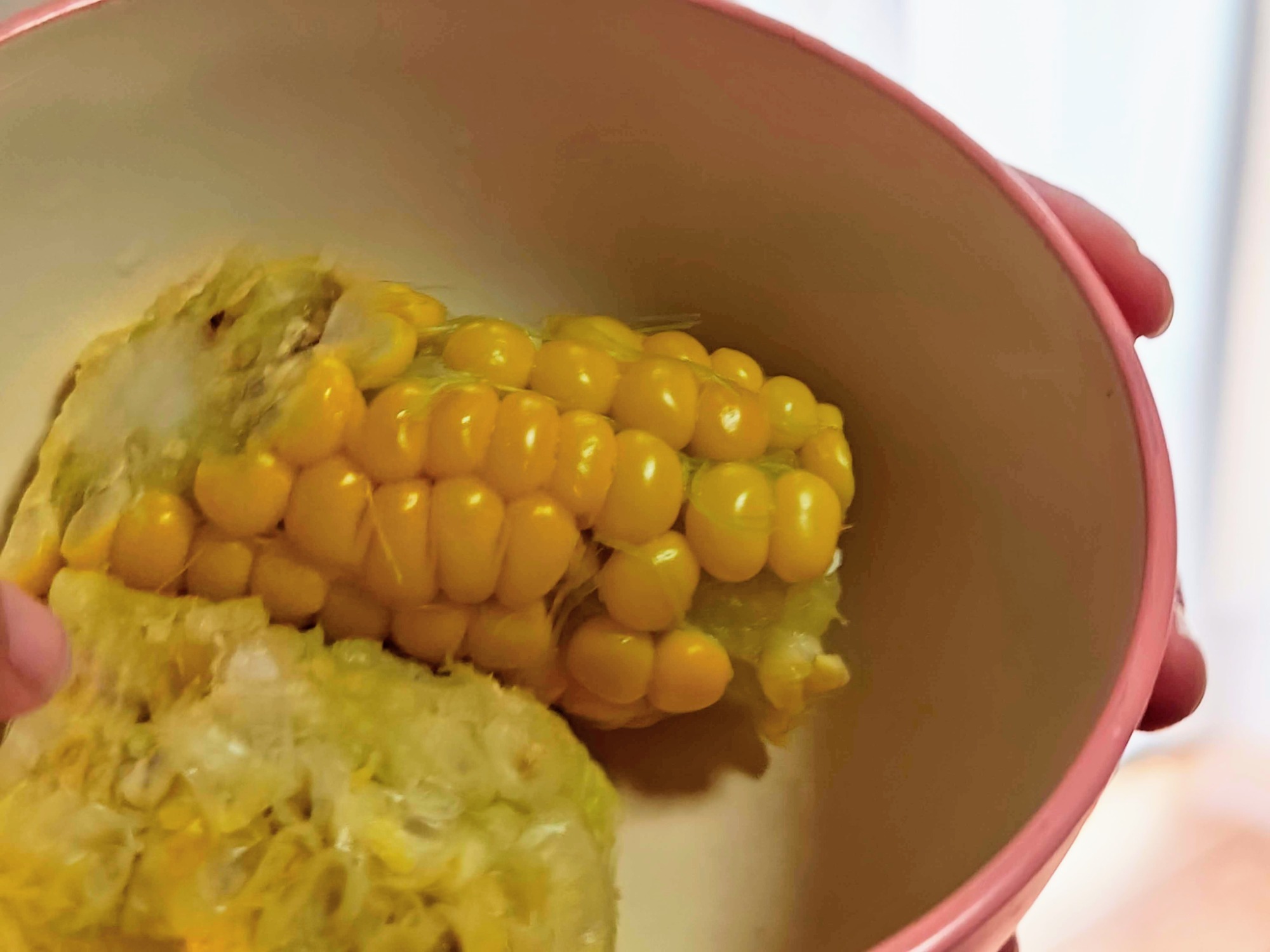 見栄えがよいものではありませんが…の画像