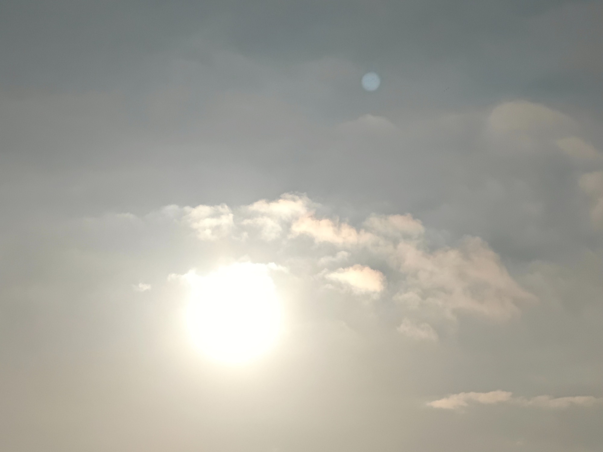 朝になりました！の画像