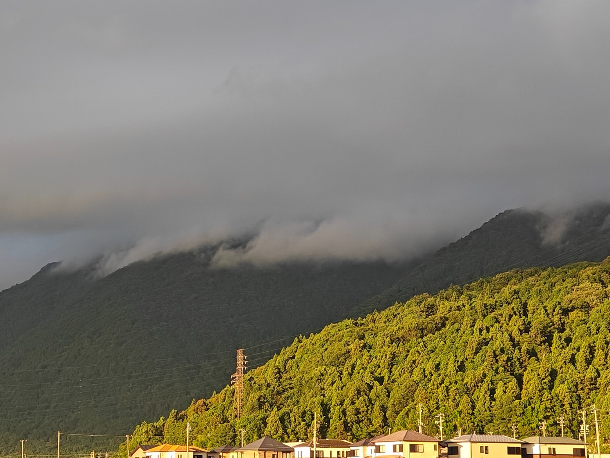 朝になりました！の画像
