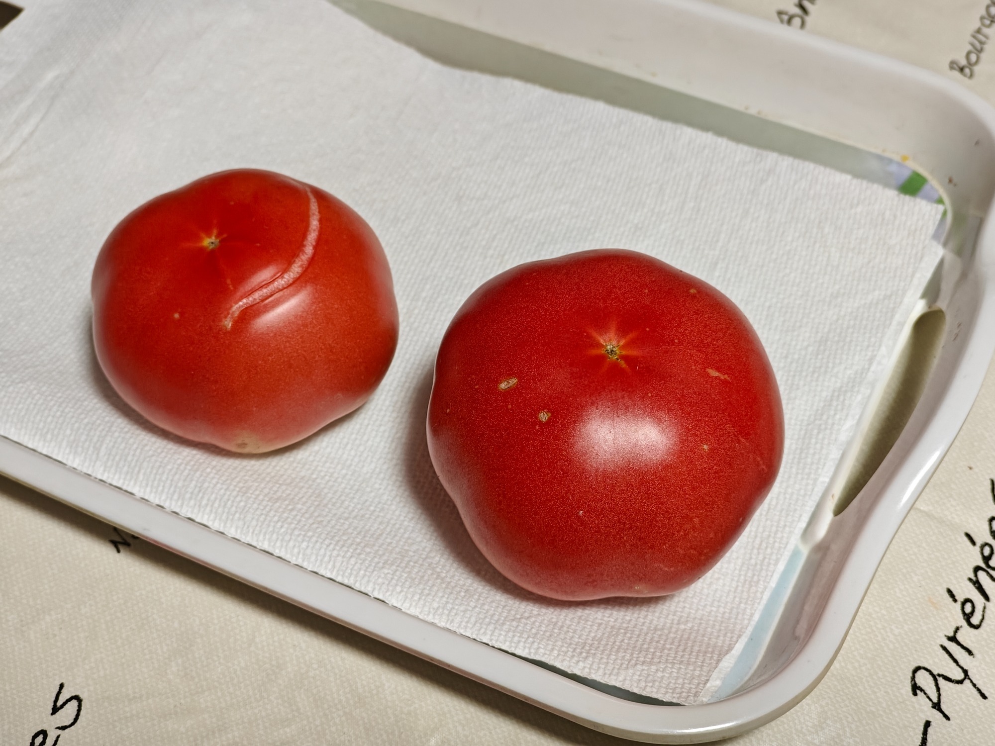 朝になりました！の画像