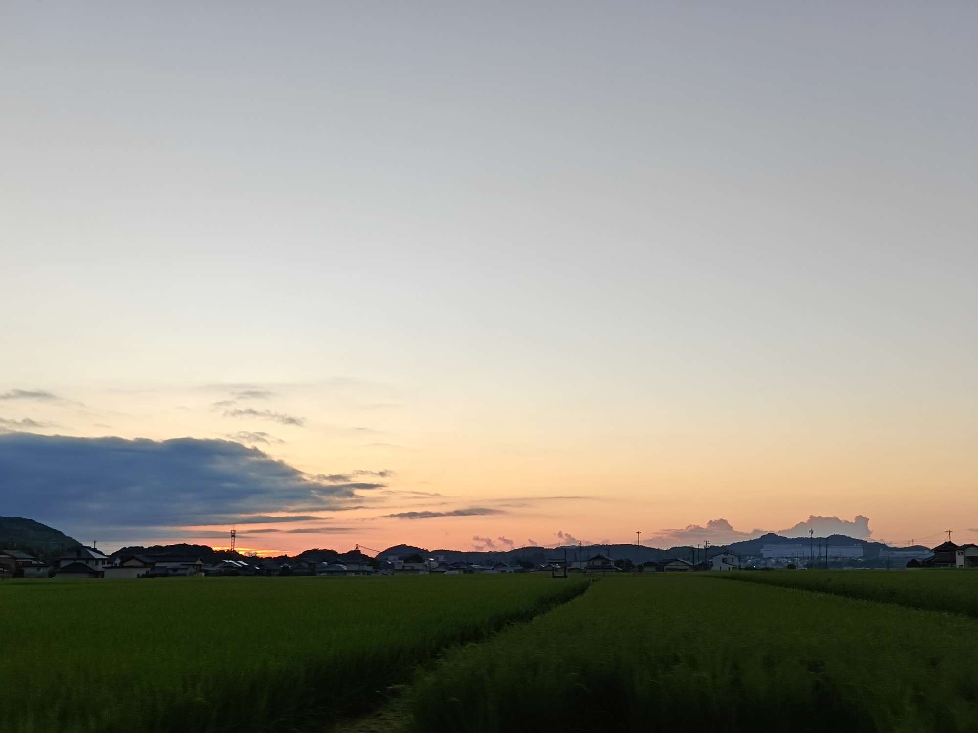 朝になりました！の画像