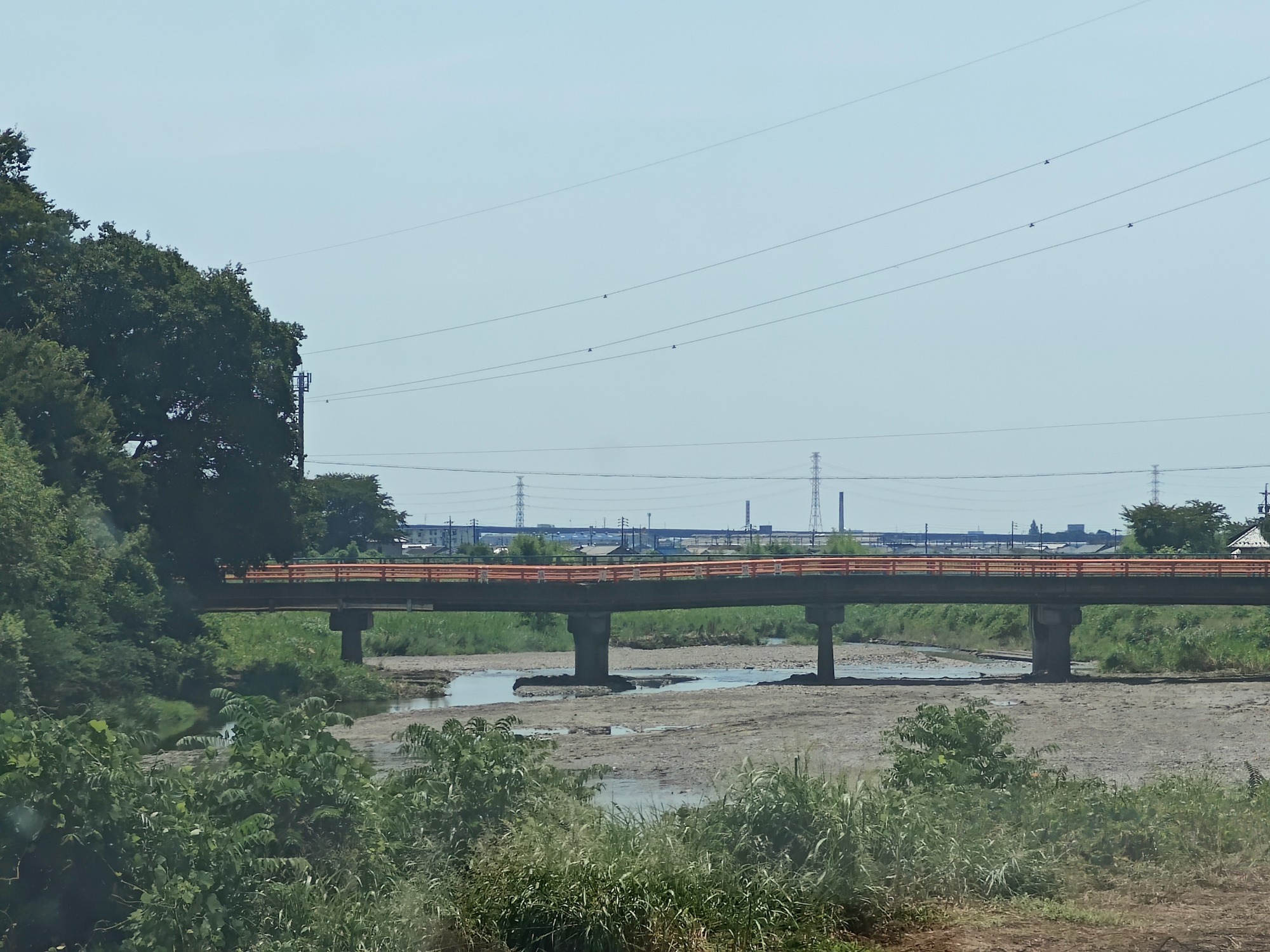 夏まで調査の画像