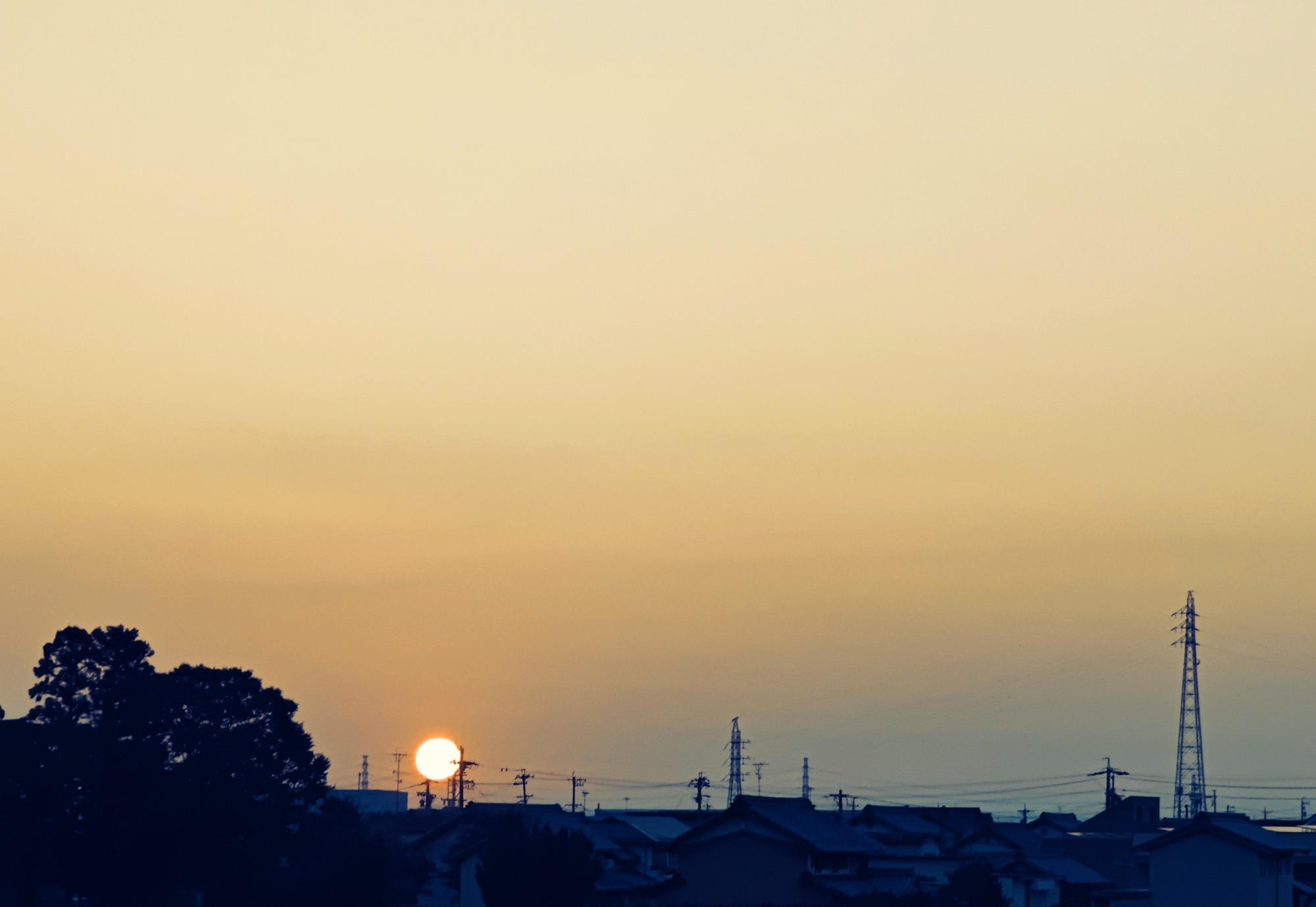 朝になりました！の画像