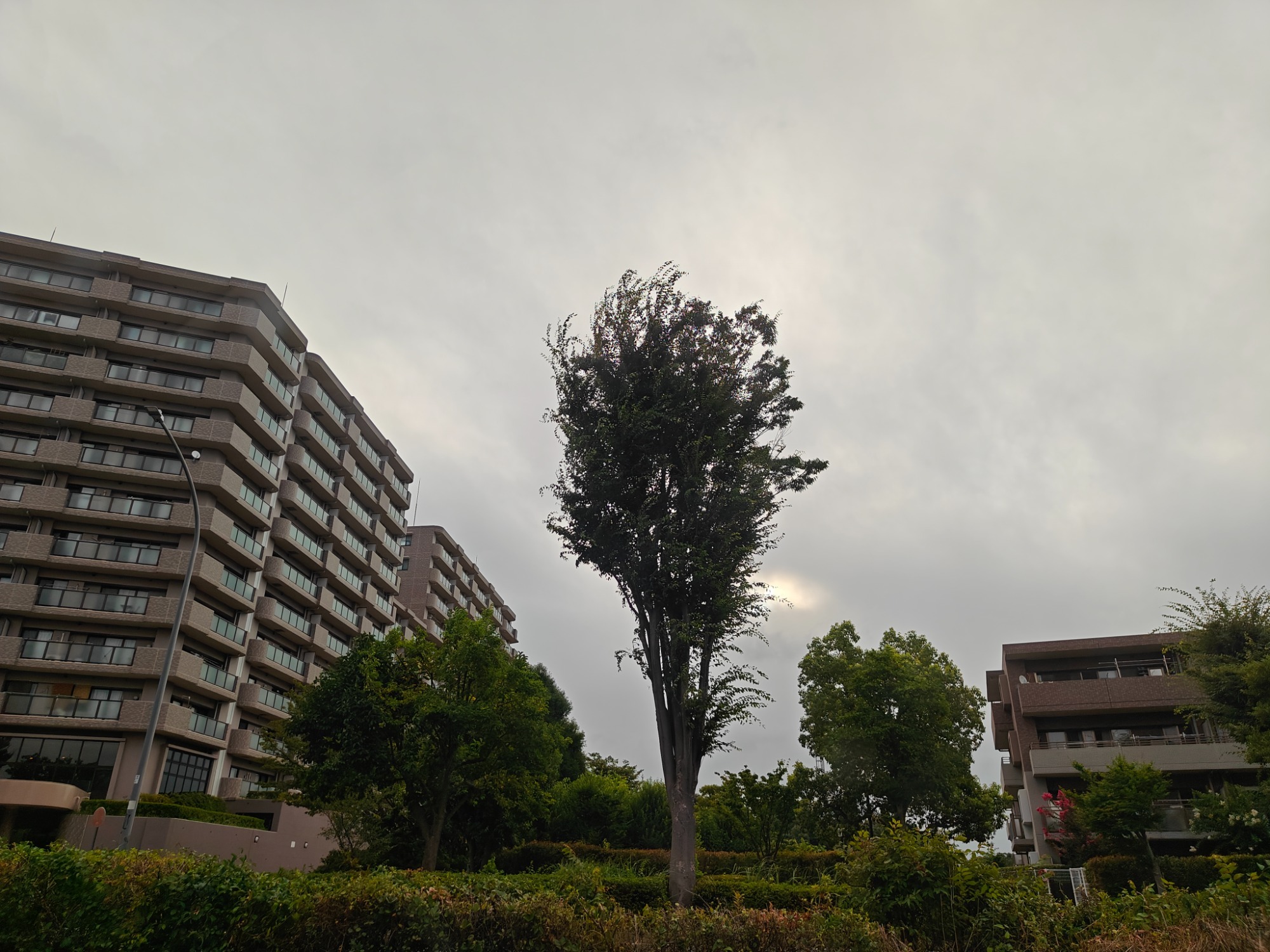 朝になりました！の画像