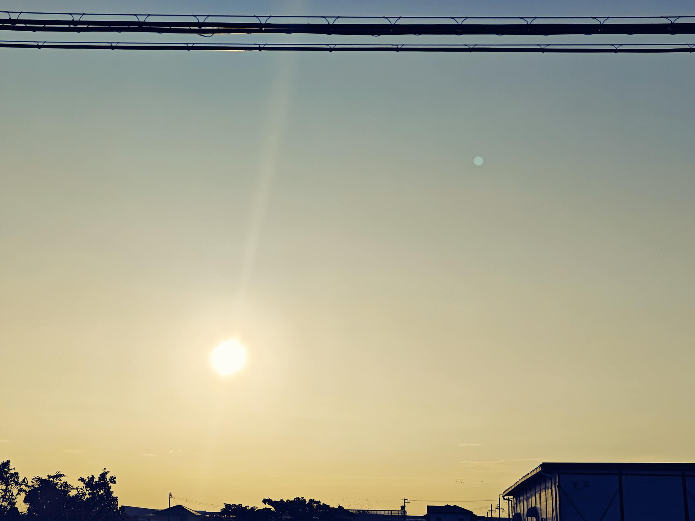 朝になりました！の画像