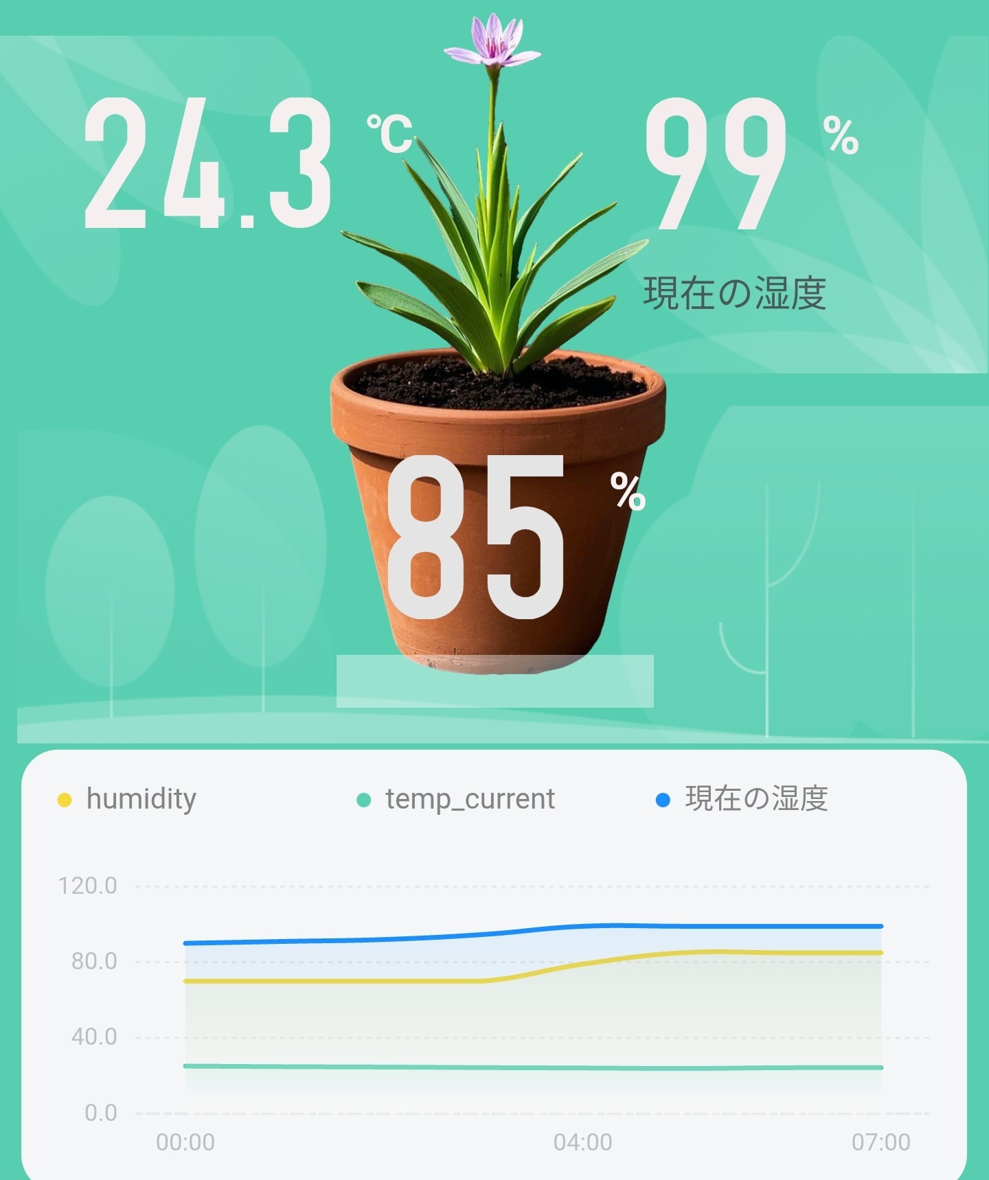 朝になりました！の画像