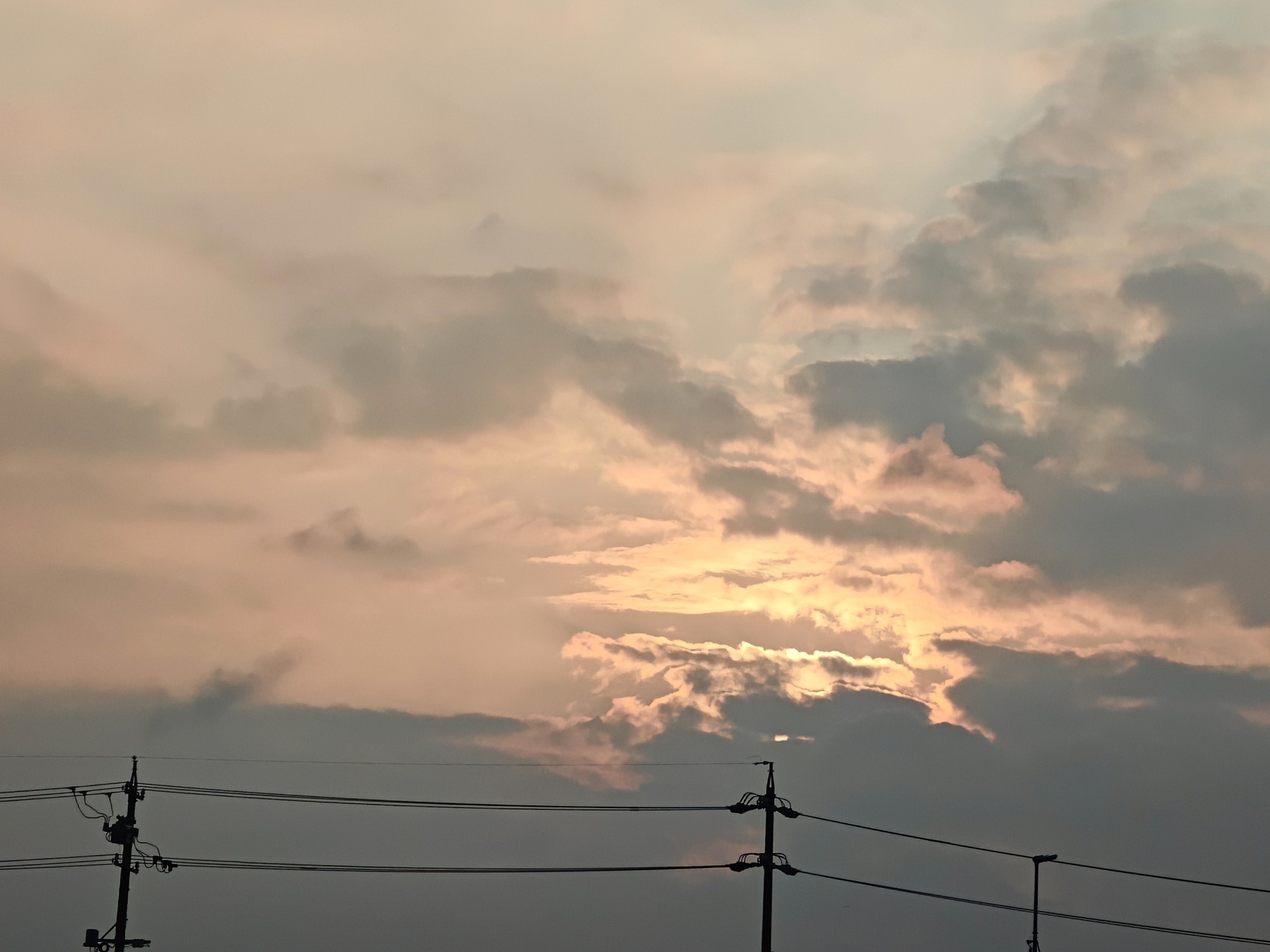 朝になりました！の画像
