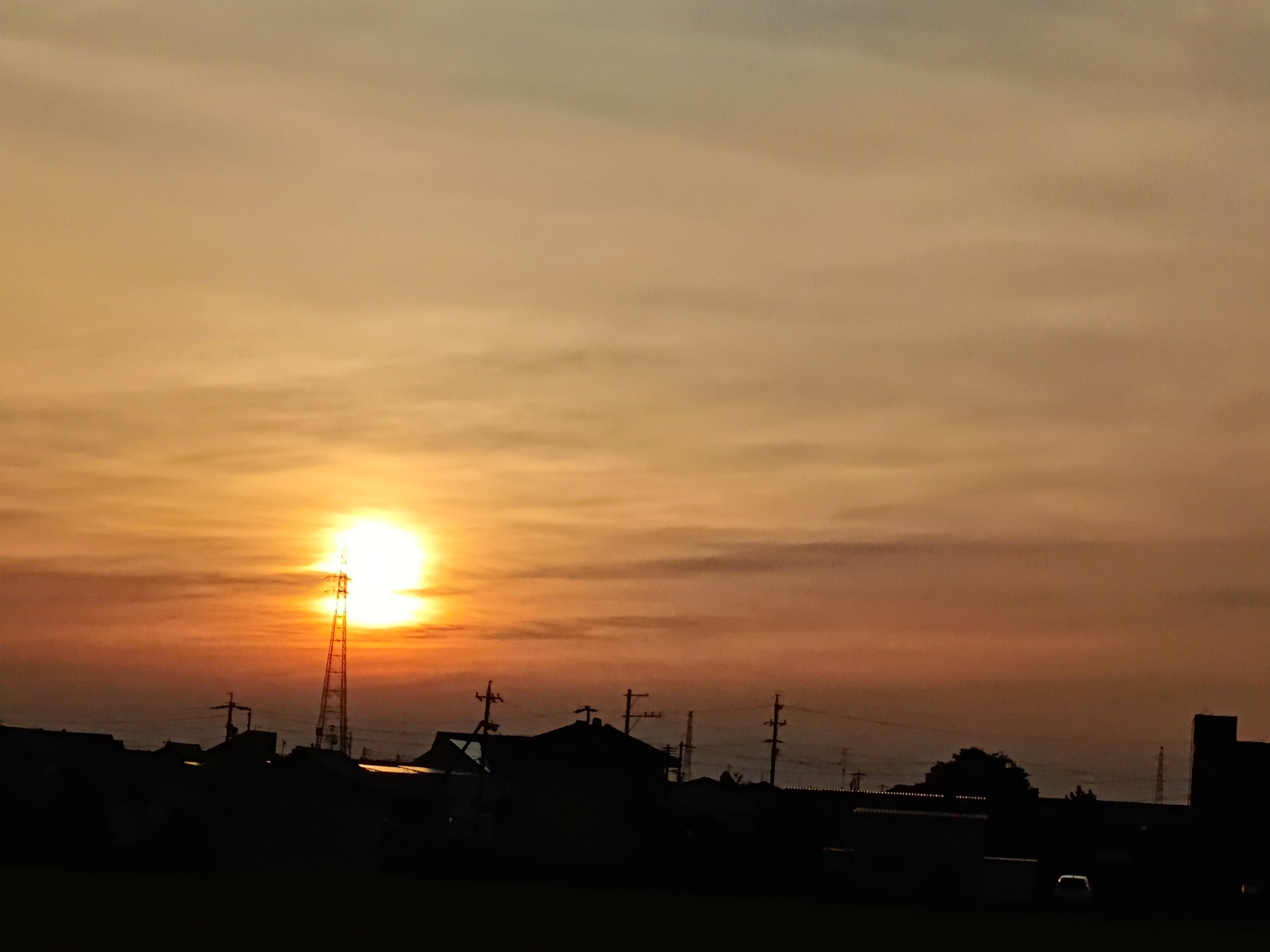 朝になりました！の画像