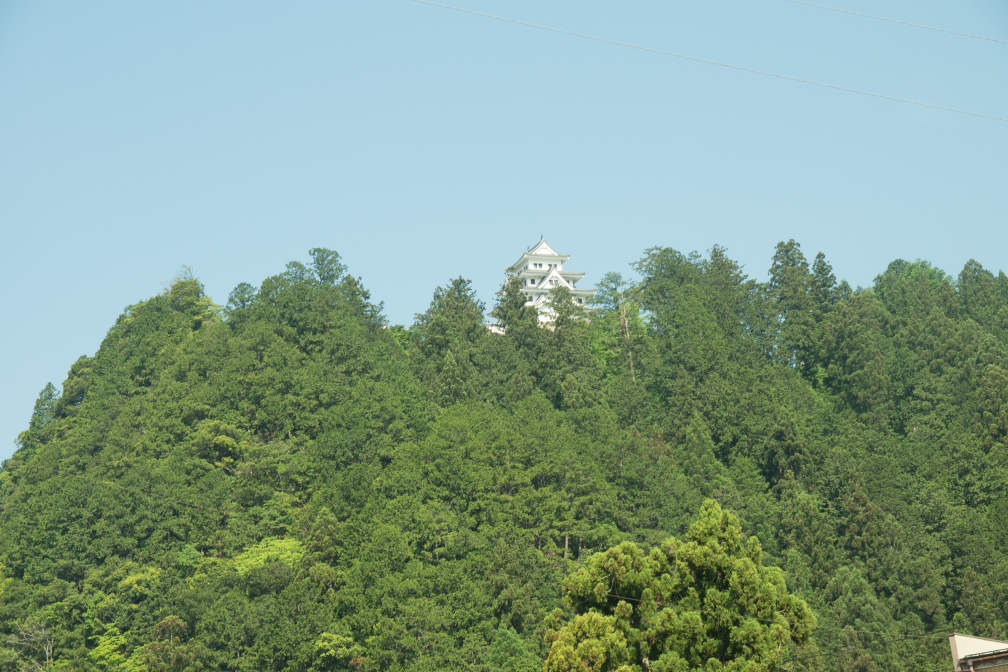 朝になりました！の画像