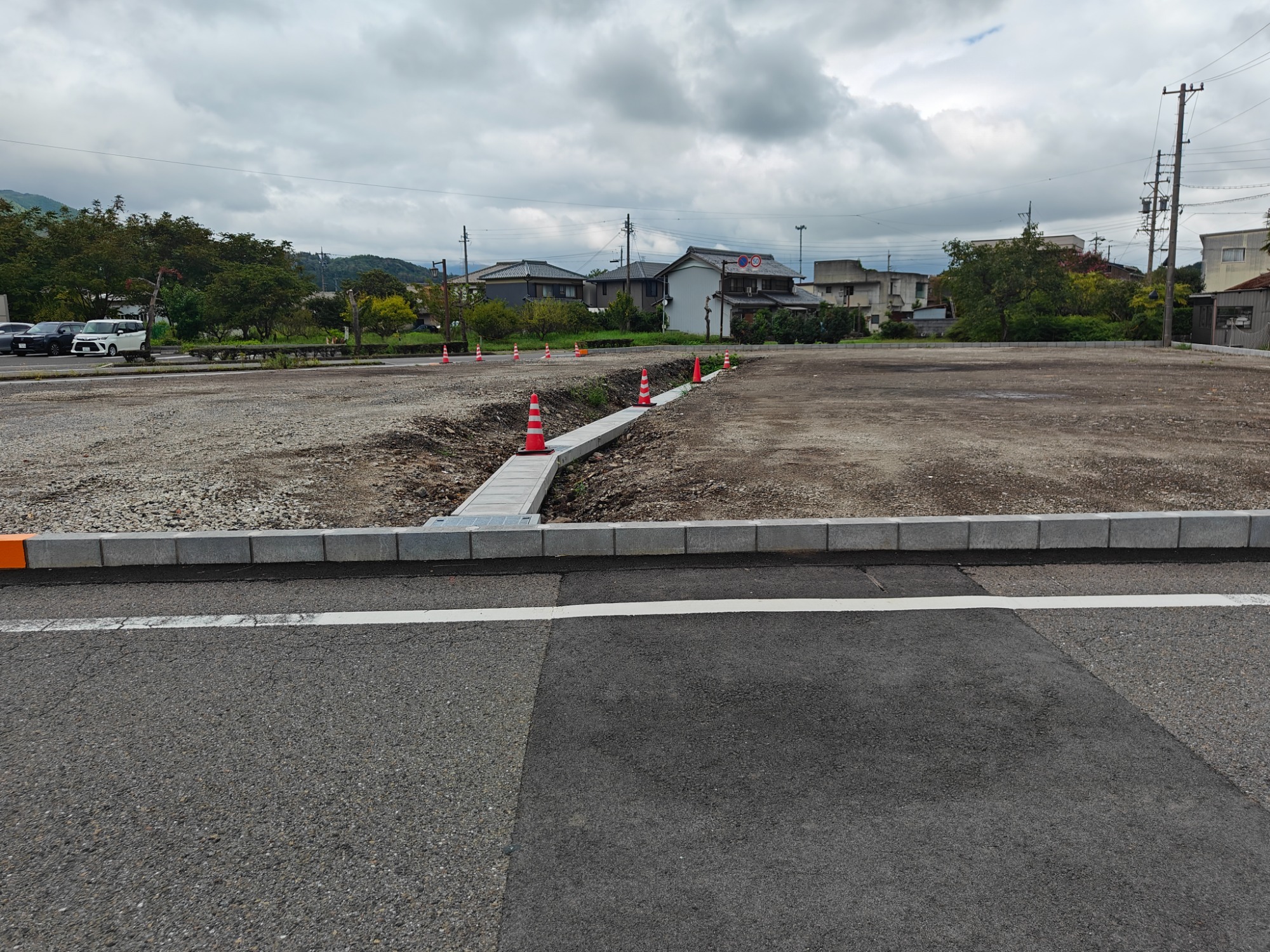 やっぱり断念したみたいの画像