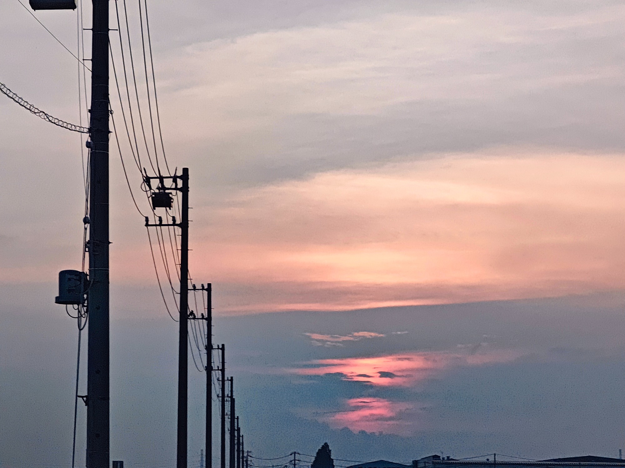 朝になりました！の画像