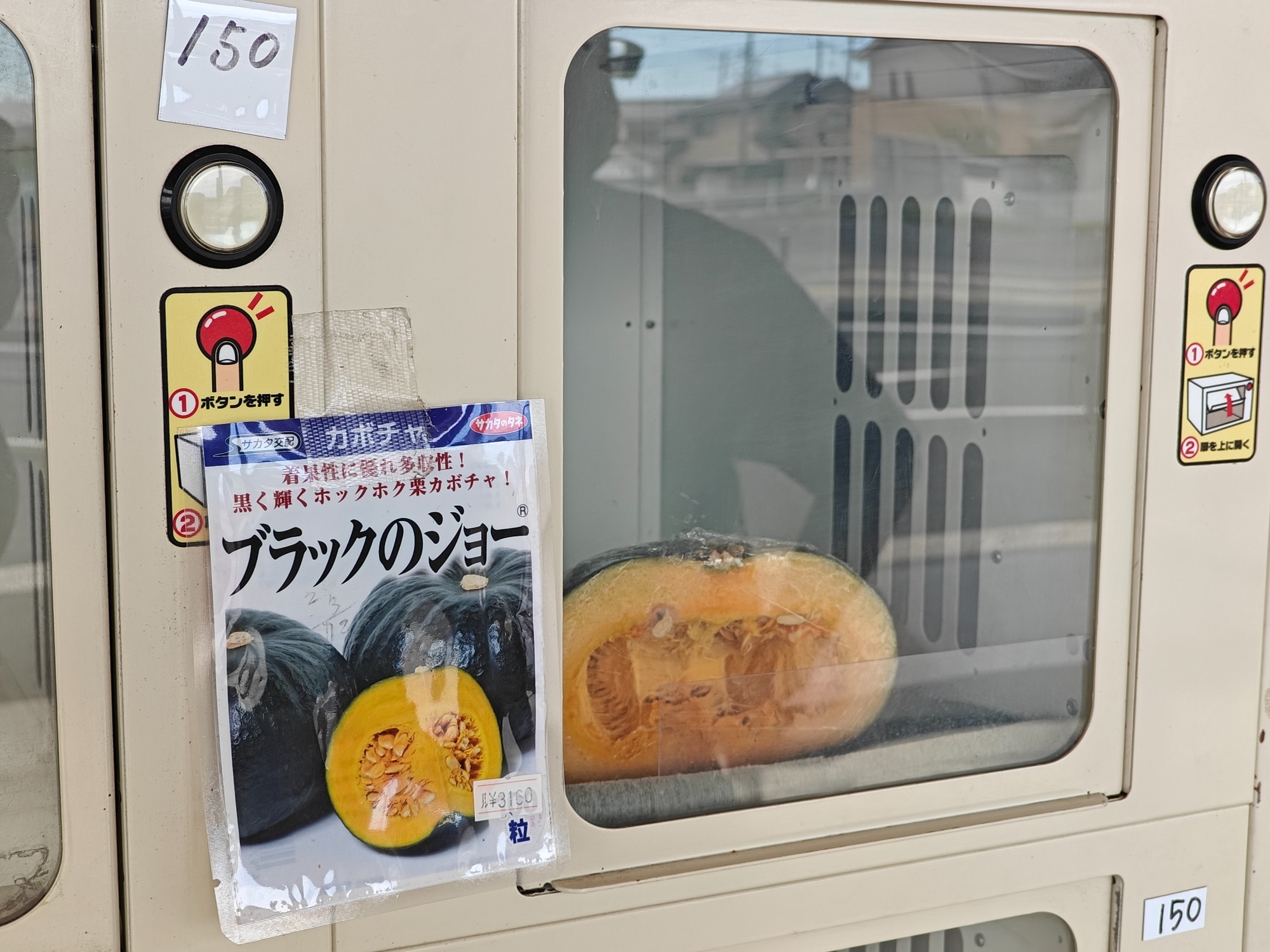 朝になりました！の画像