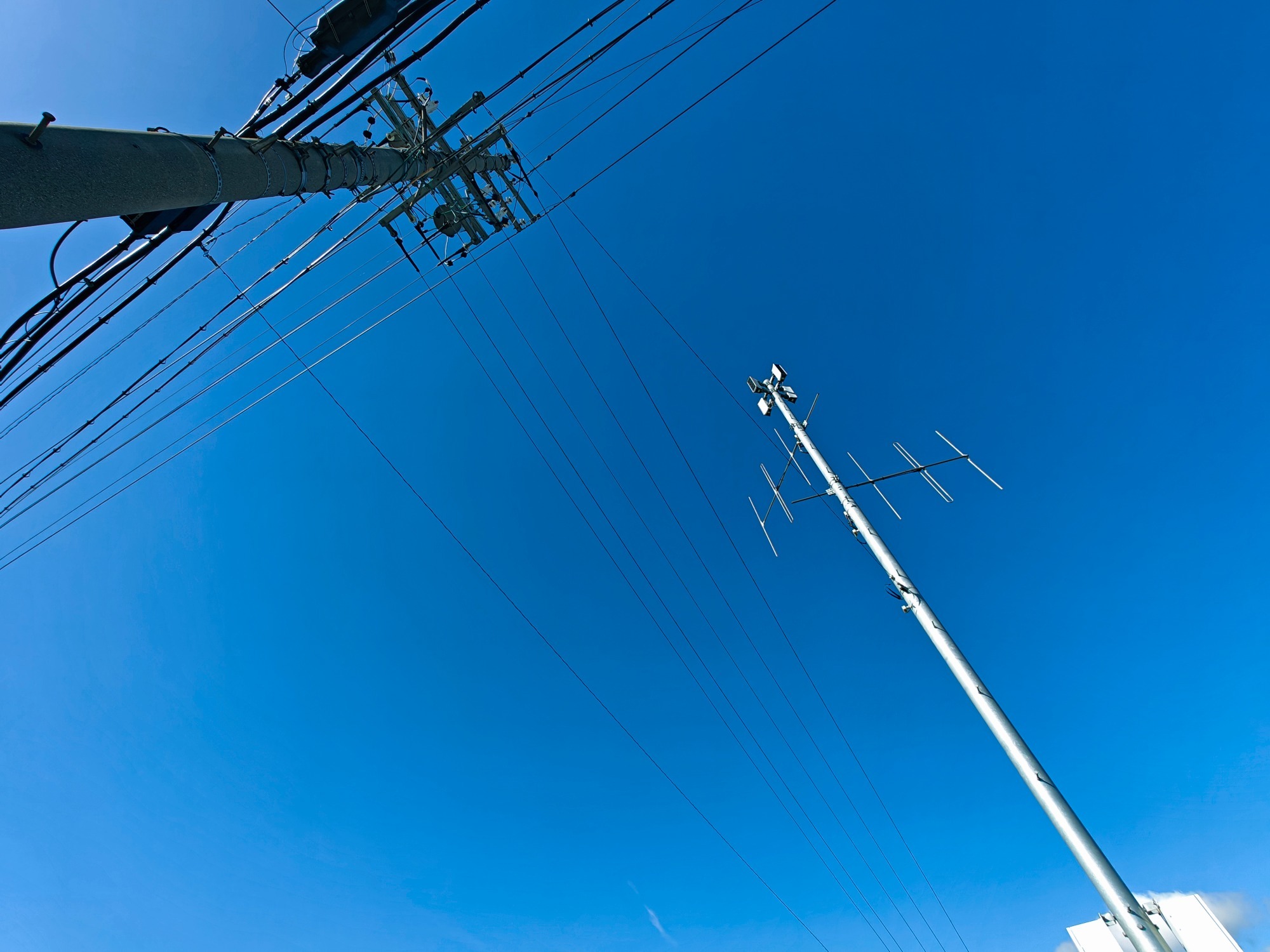 めちゃ良い天気っす！の画像