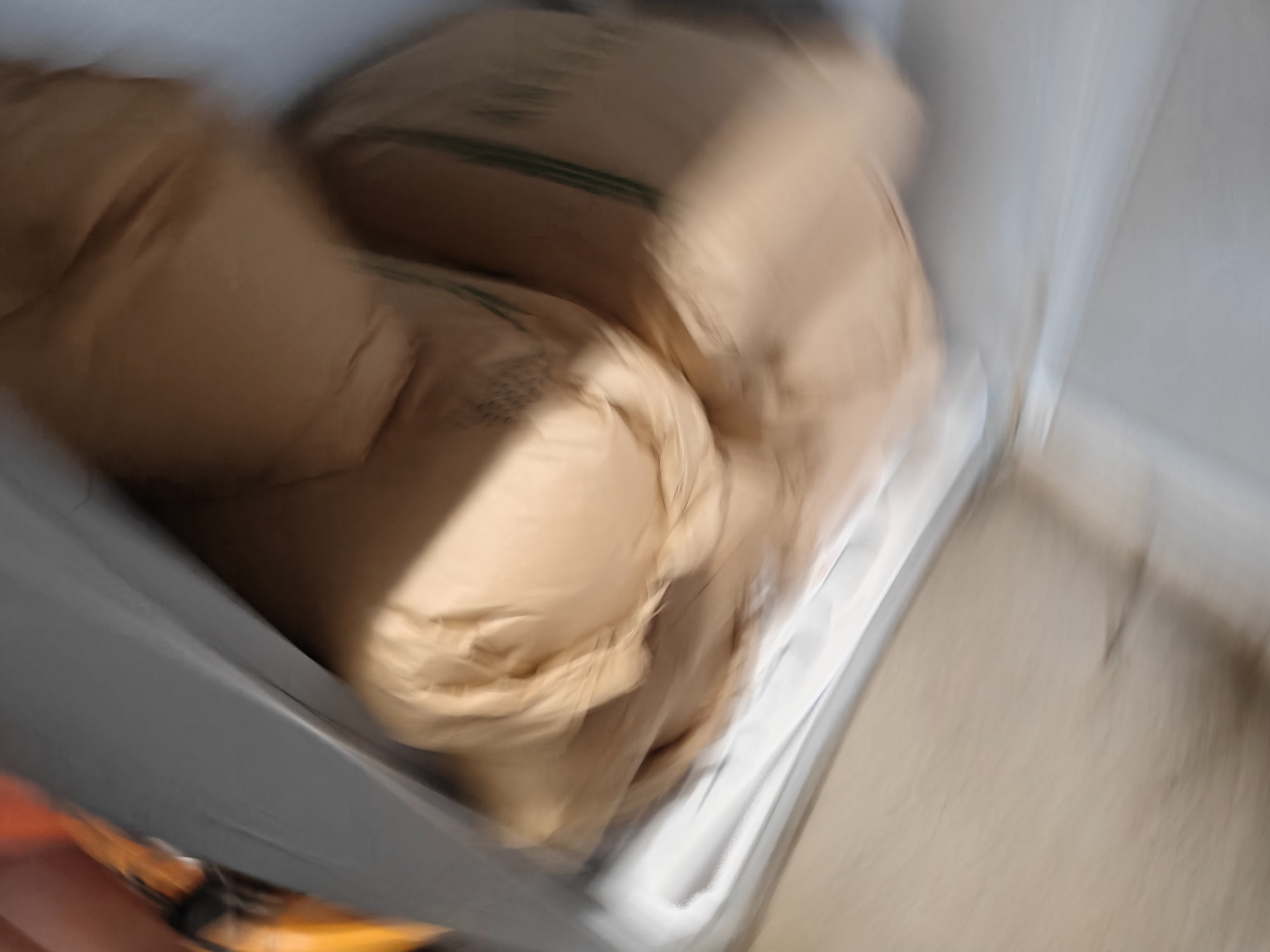 わぉ！の画像