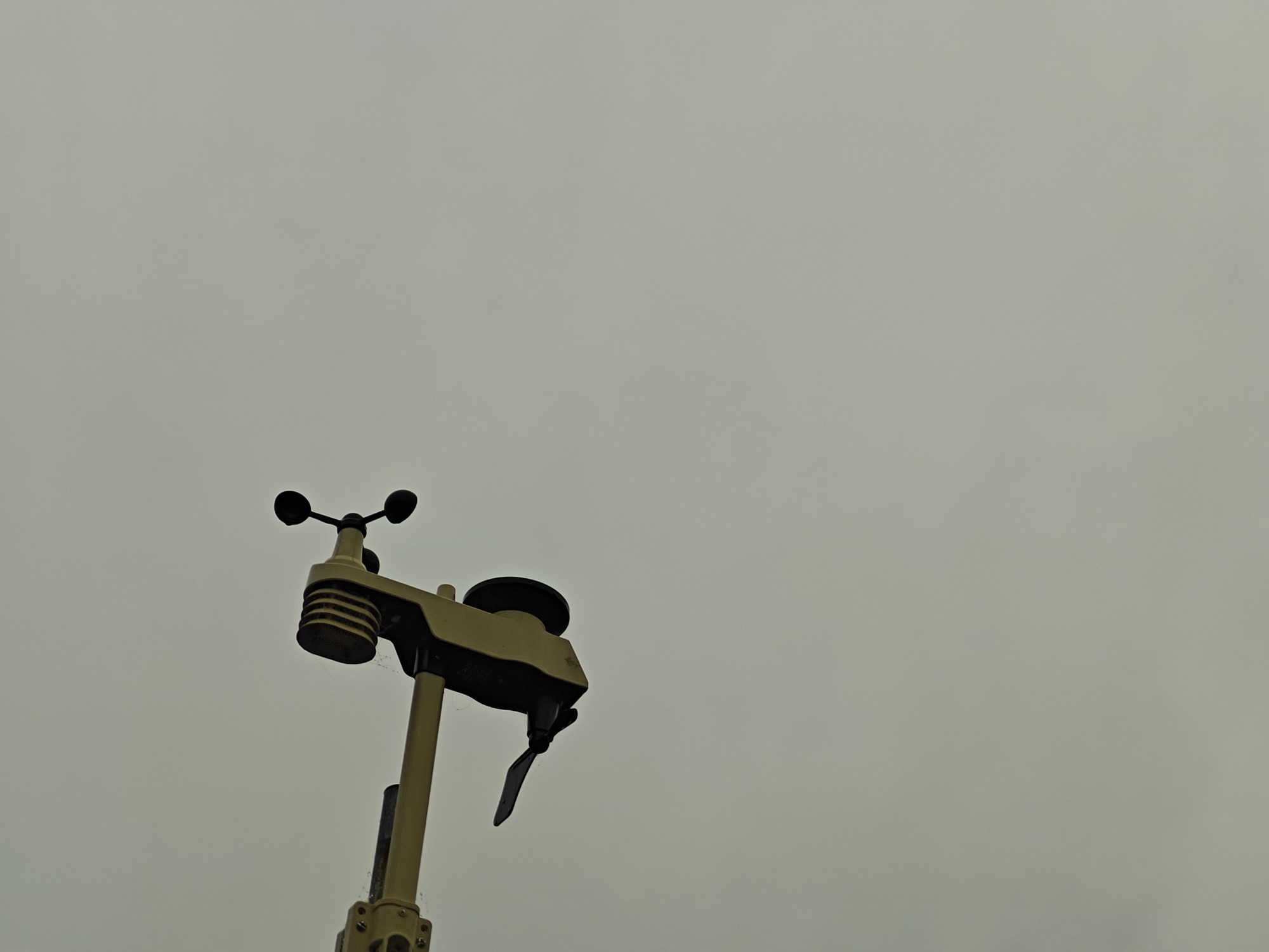 朝になりました！の画像