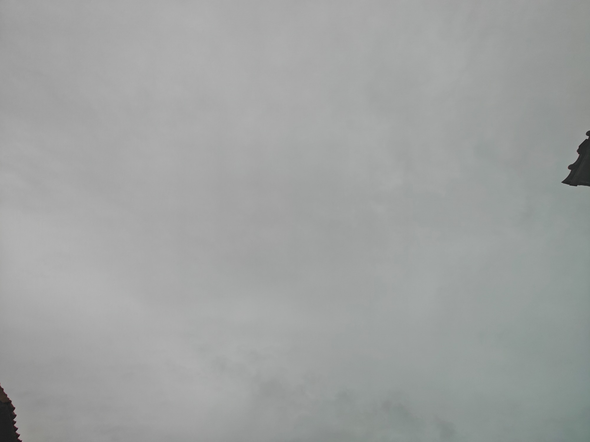 朝になりました！の画像