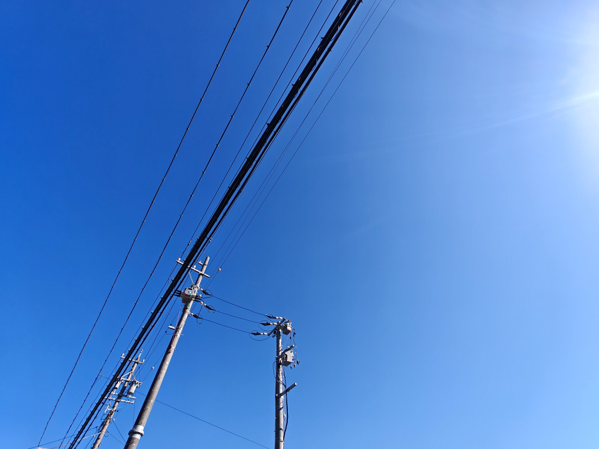 暖かくなってきました！の画像