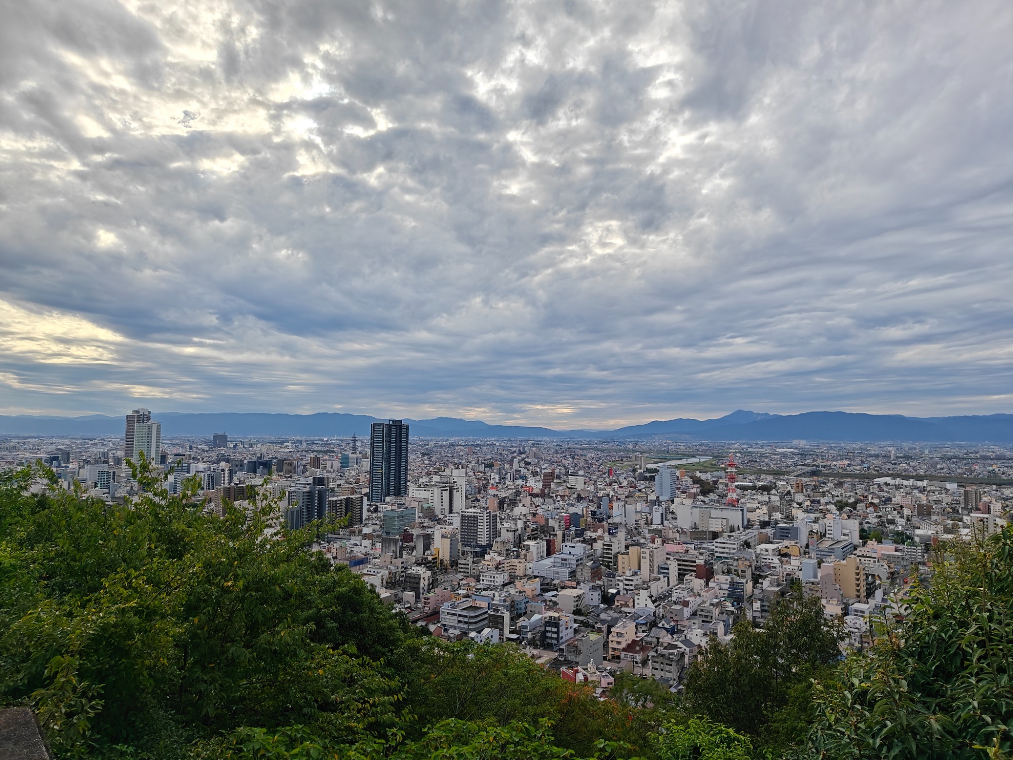 展望台にきましたの画像