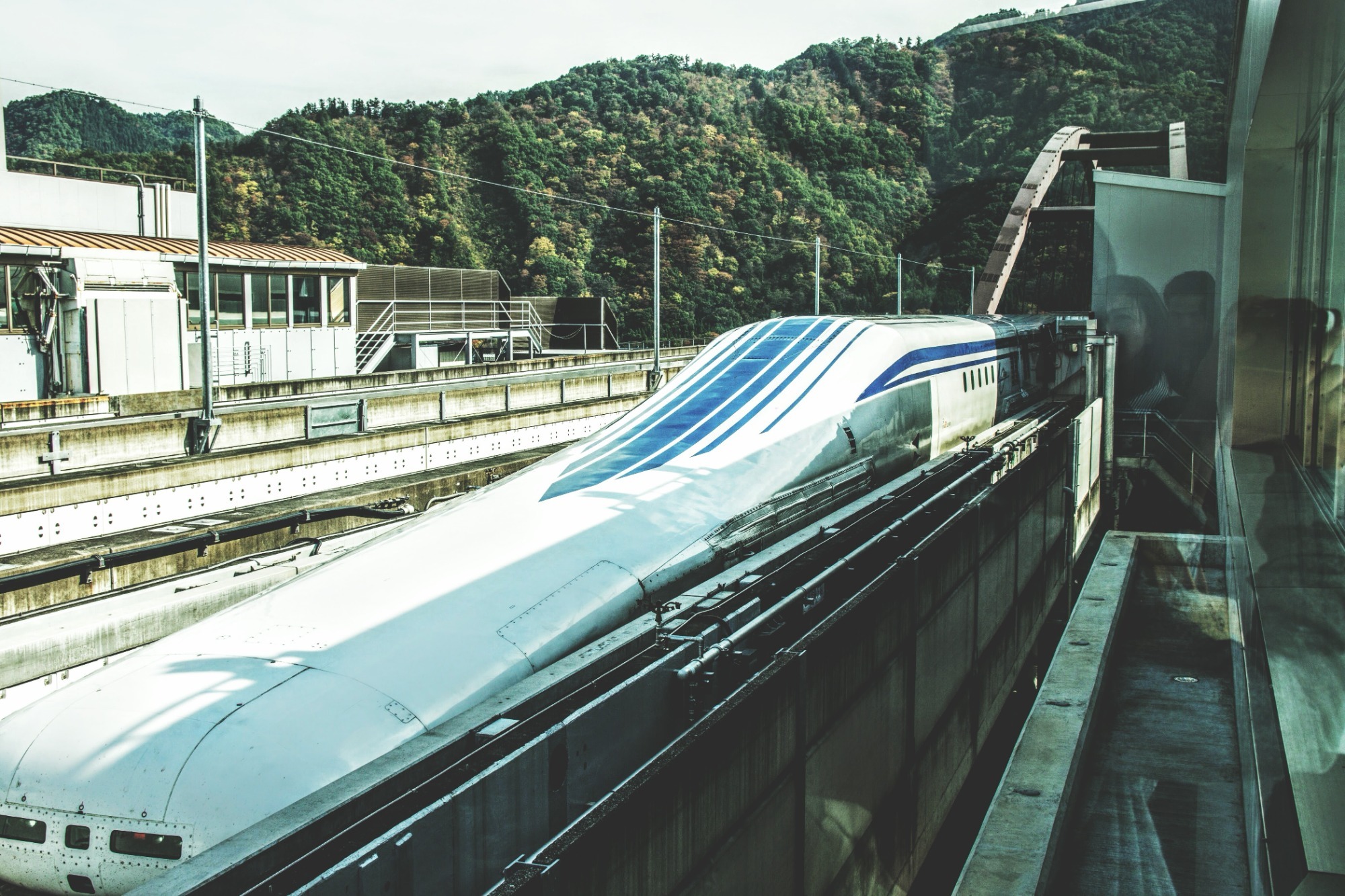 もう10年たつんだね！の画像