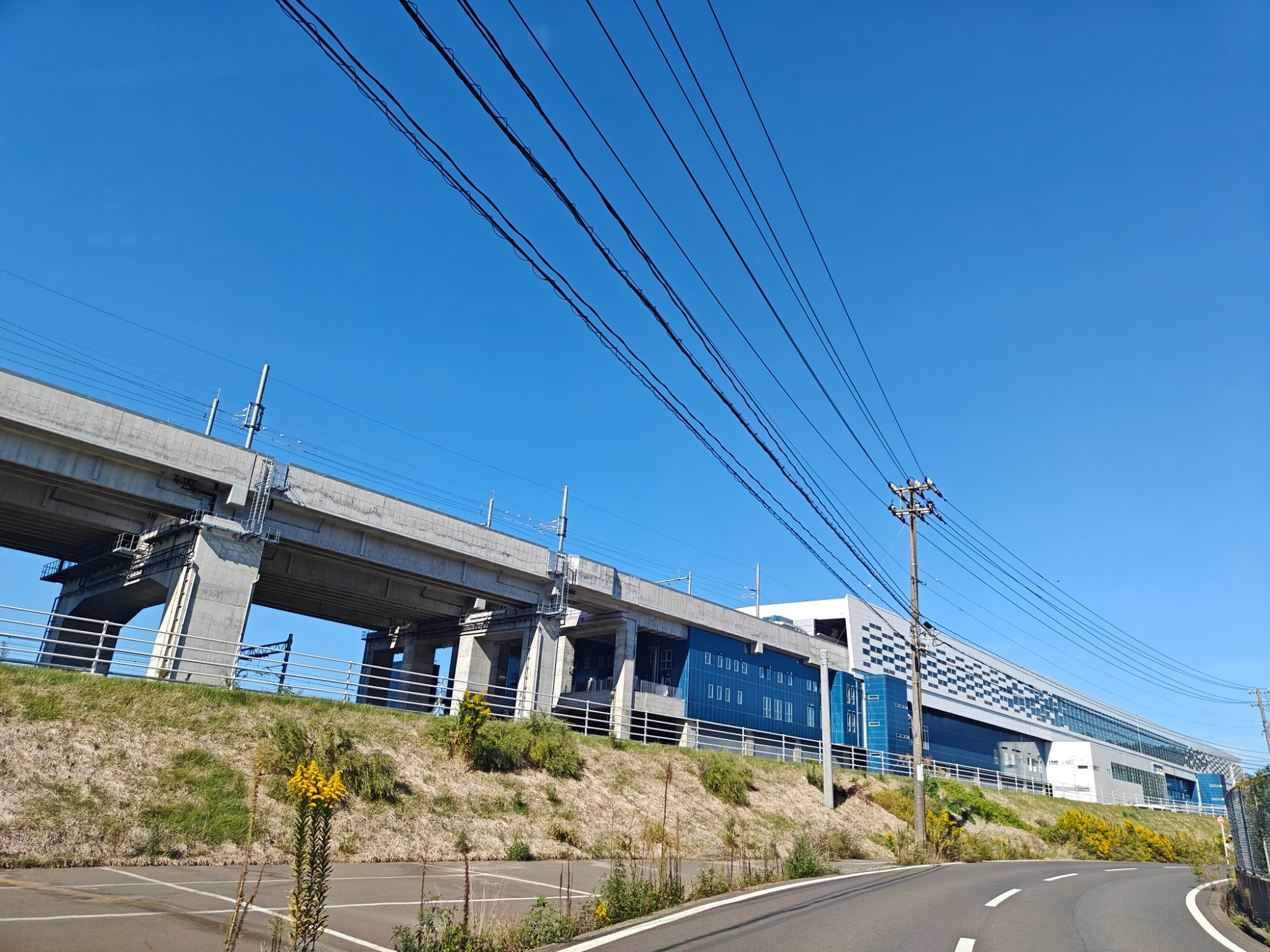 この先どうなるんだろね？の画像