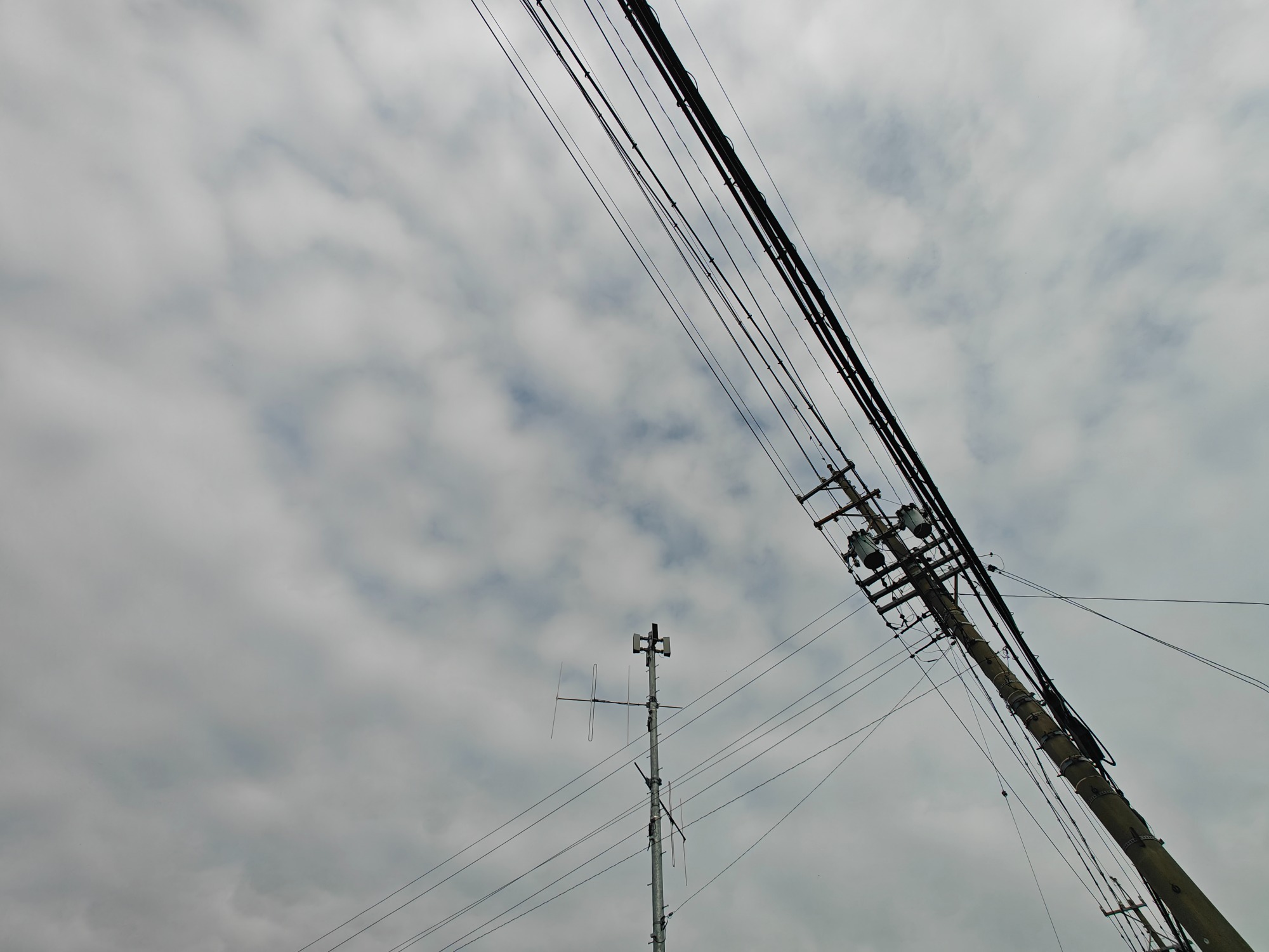 どんよりな天気！の画像