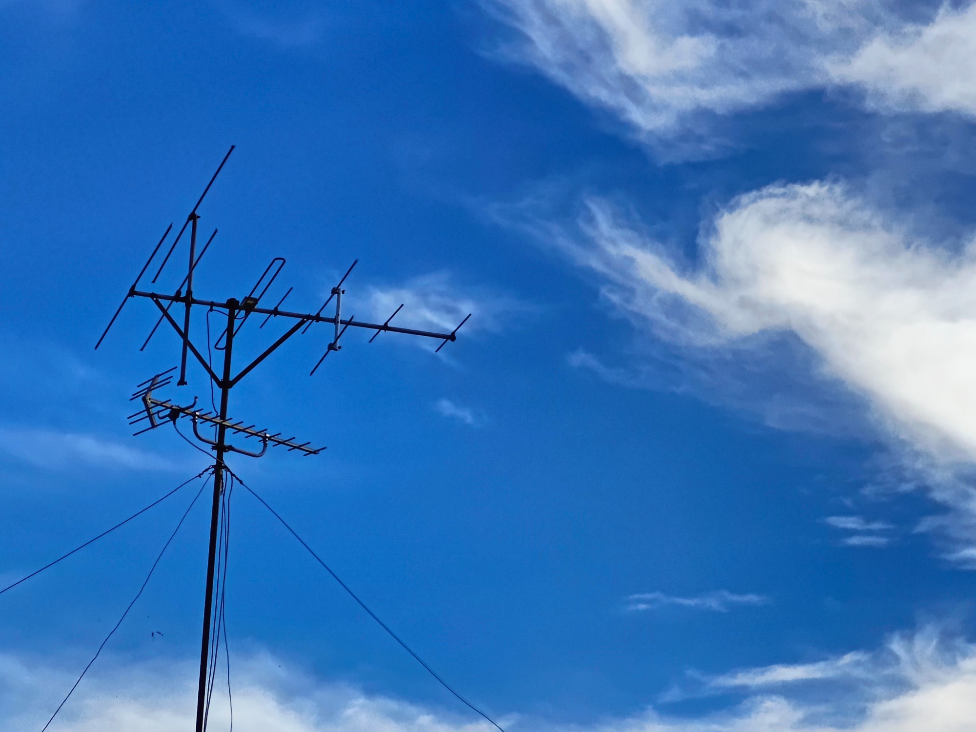 朝になりました！の画像