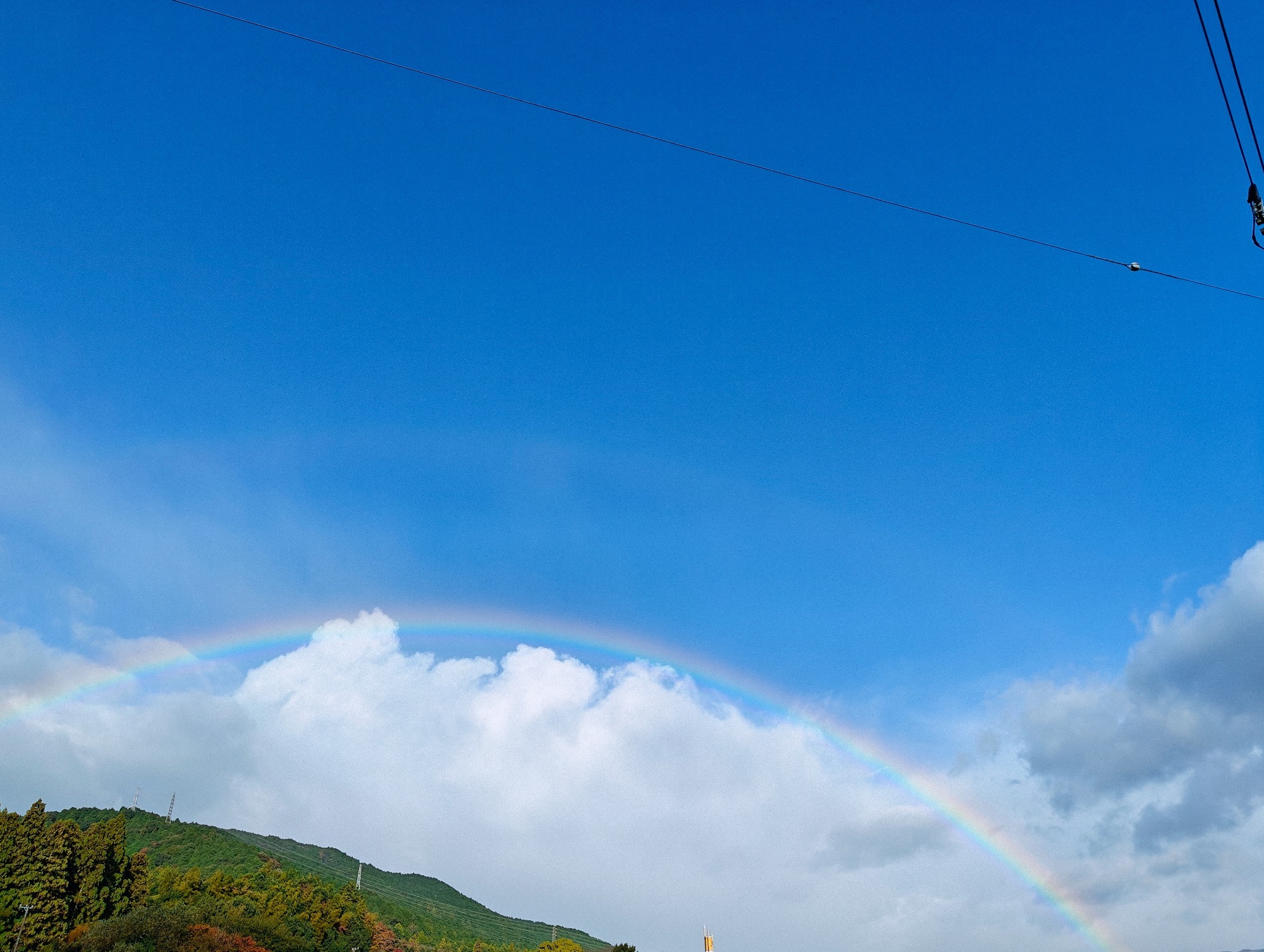 雨上がりの空の画像