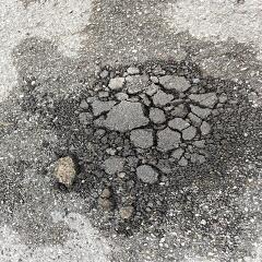 昼から晴れてきたのでの画像